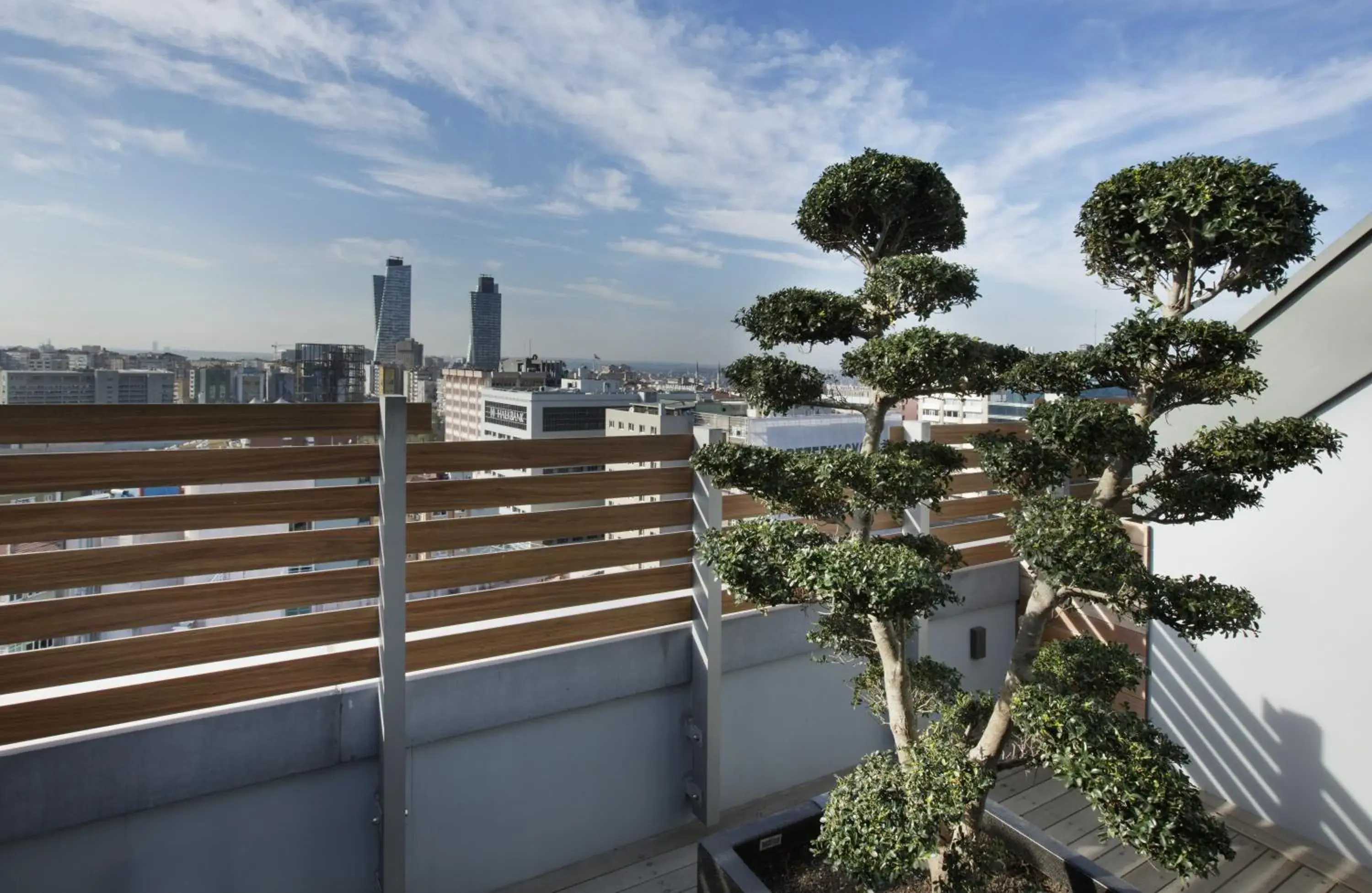 Decorative detail in The Leos Residence Decorative detail in The Leos Residence