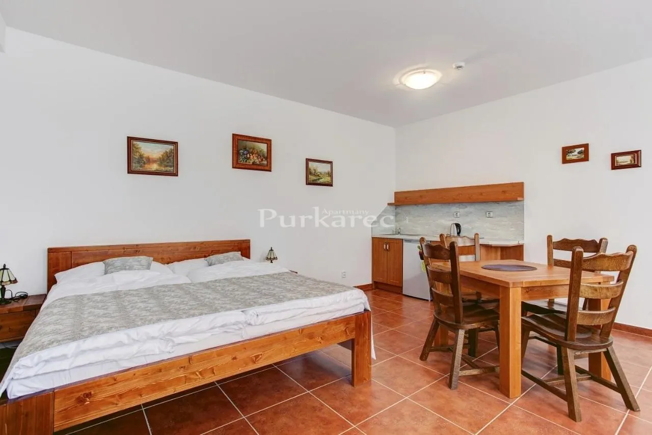 Standard Apartment in Apartmány U Anděla