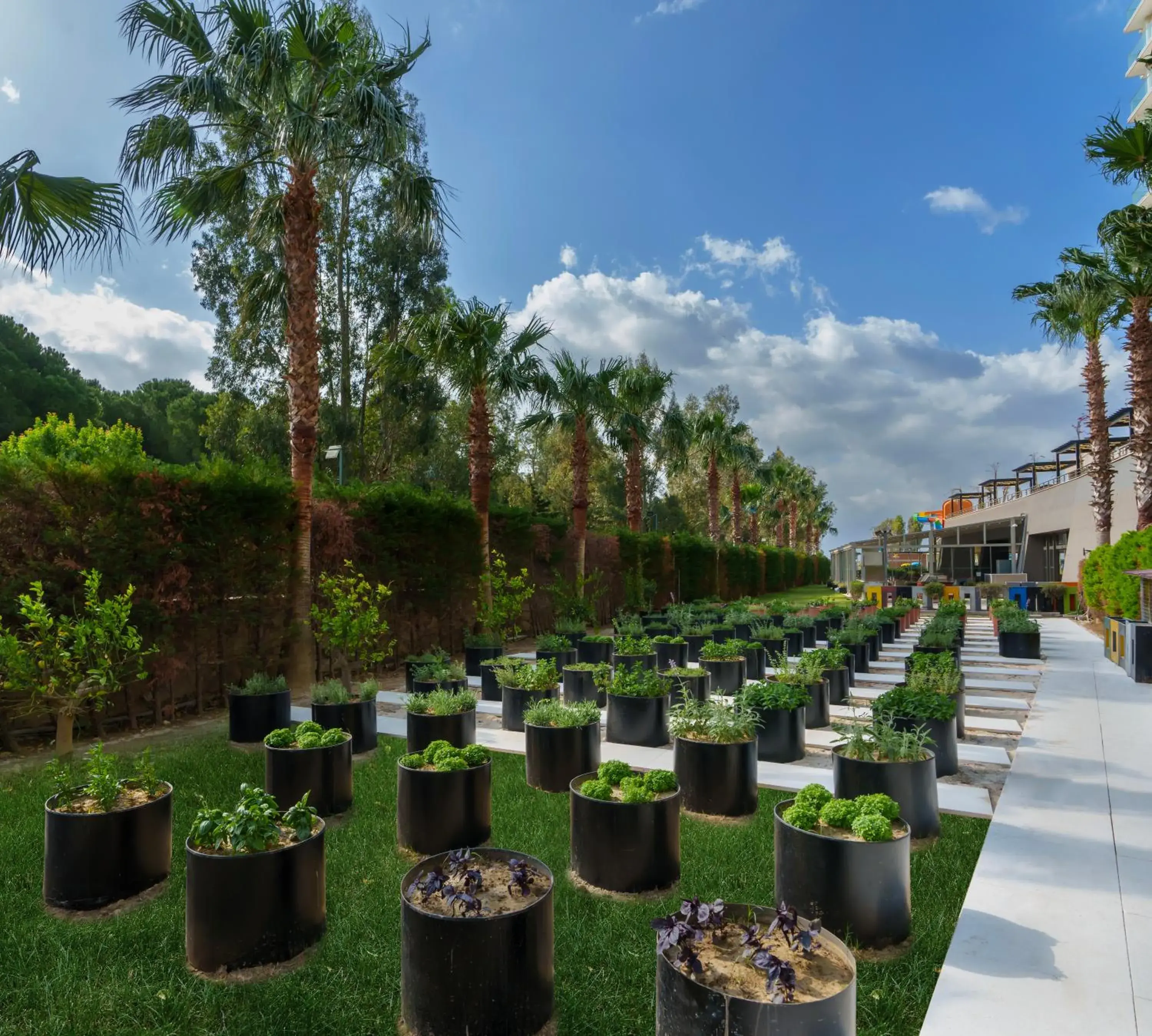 Garden view in Liberty Kuşadası Garden view in Liberty Kuşadası