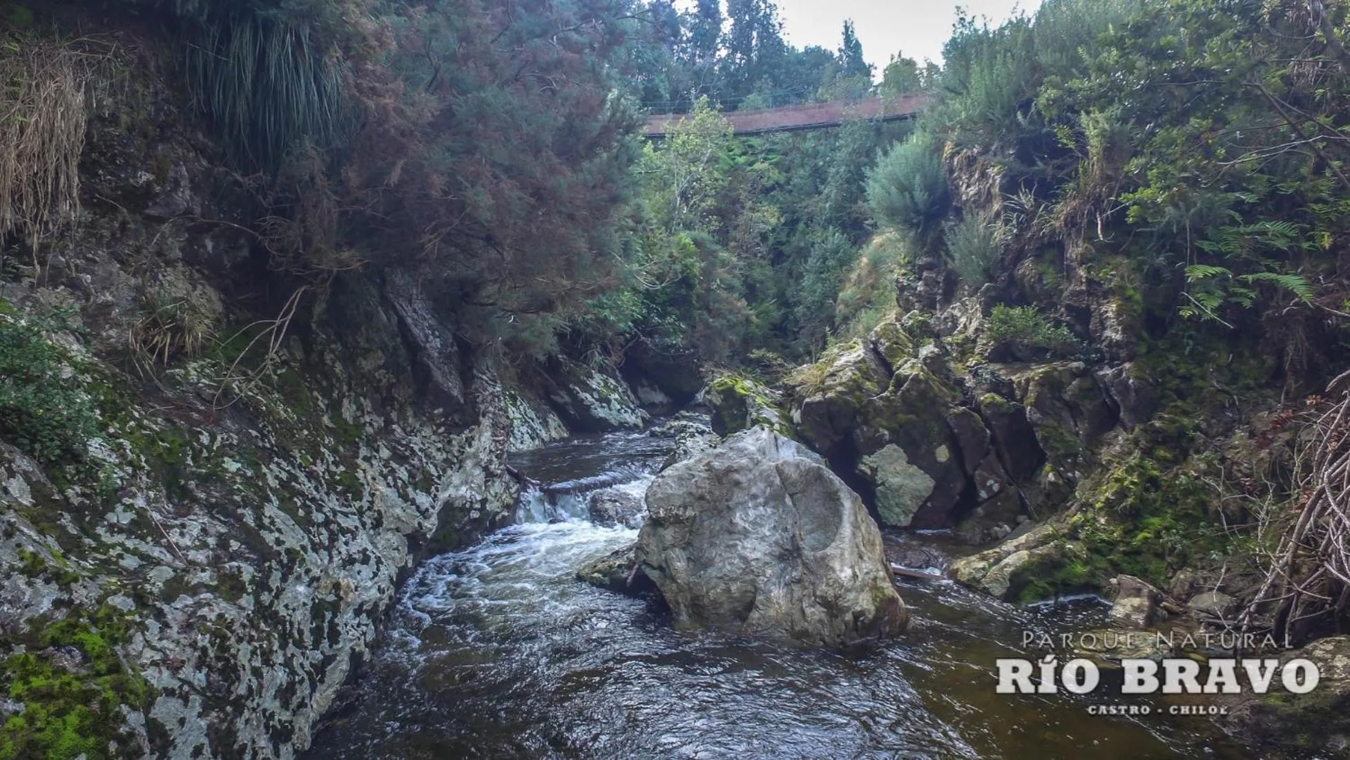 Parque Natural Rio Bravo Lodge