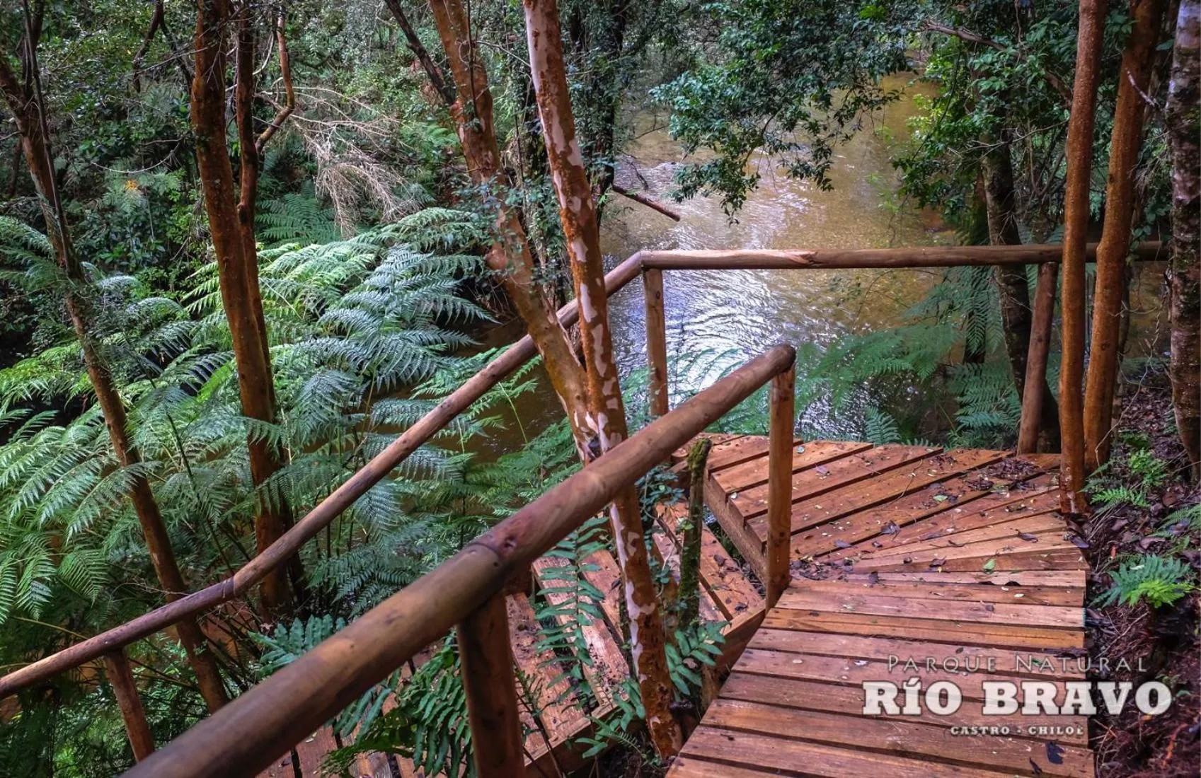 River view in Parque Natural Rio Bravo Lodge