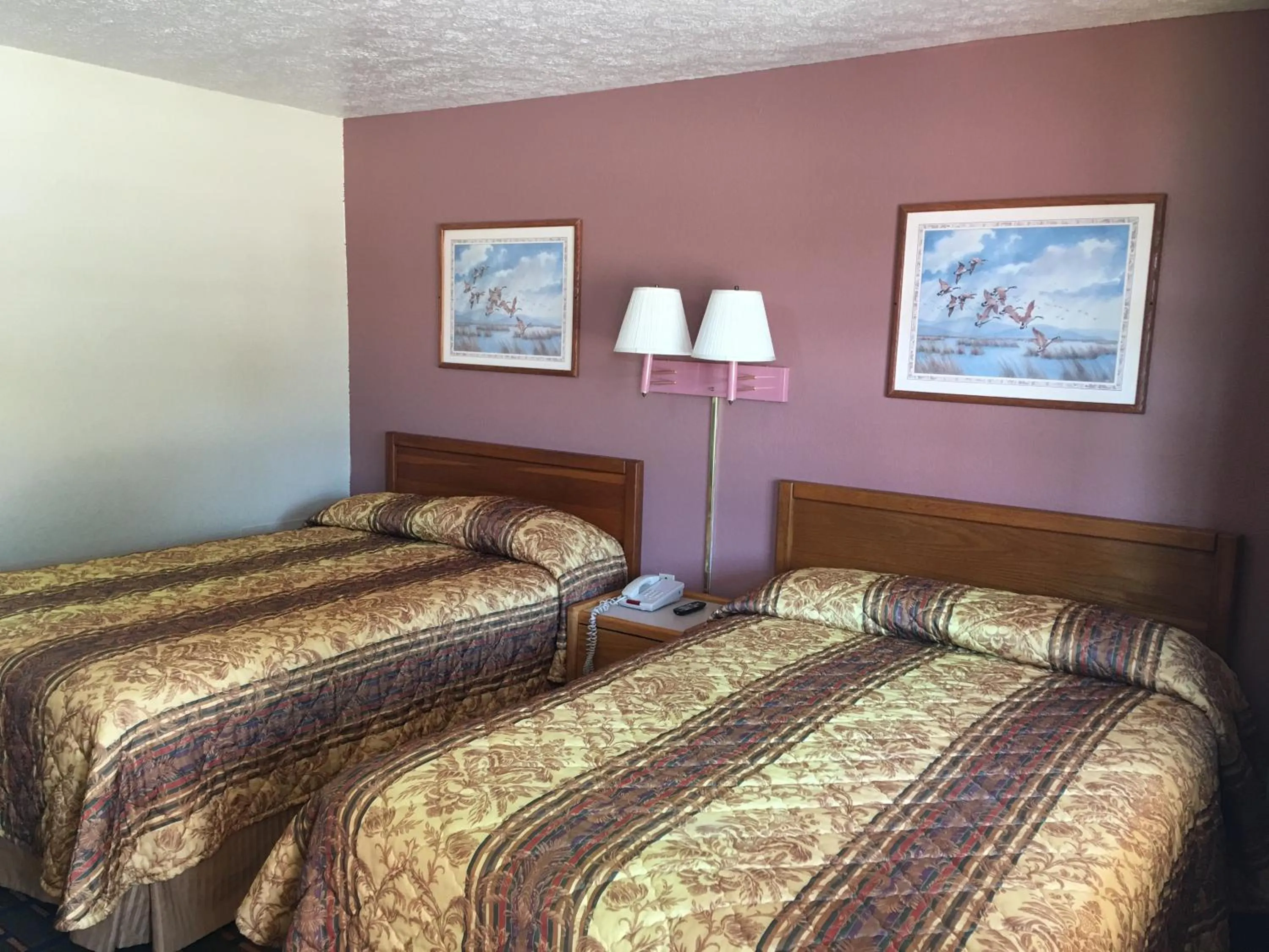 Bed in Best Value Inn Motel Sandusky