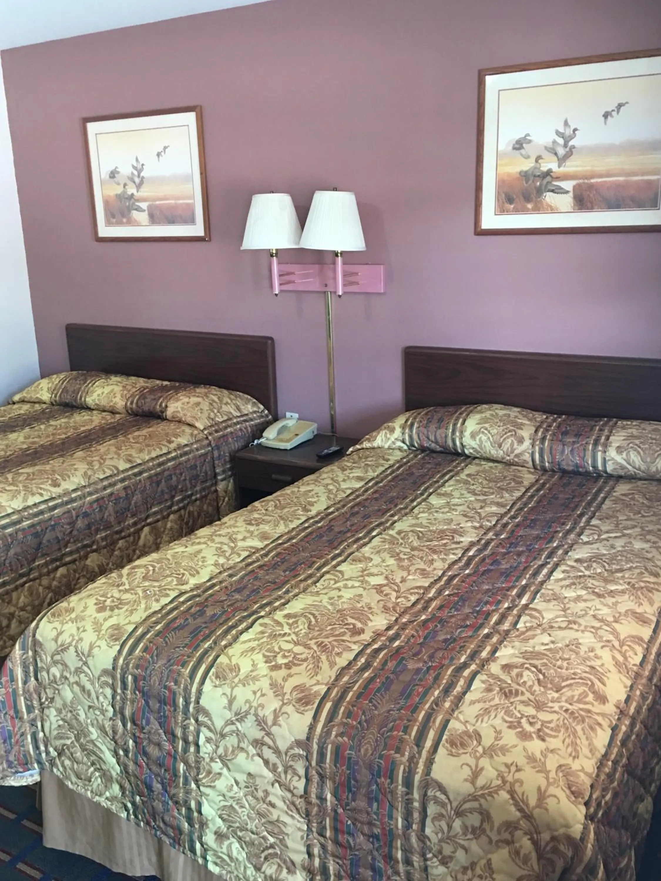 Bed in Best Value Inn Motel Sandusky