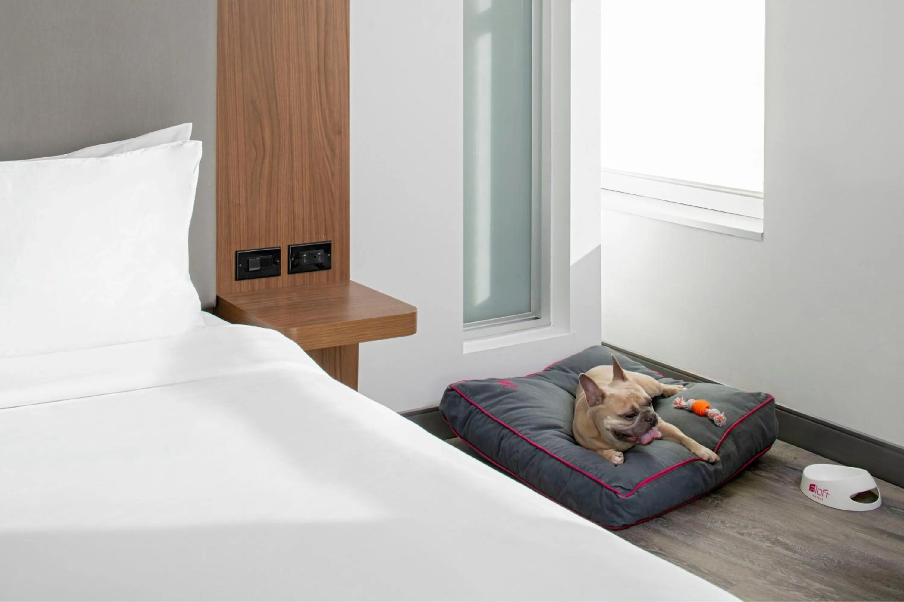 Other, Bed in Aloft New Orleans Downtown