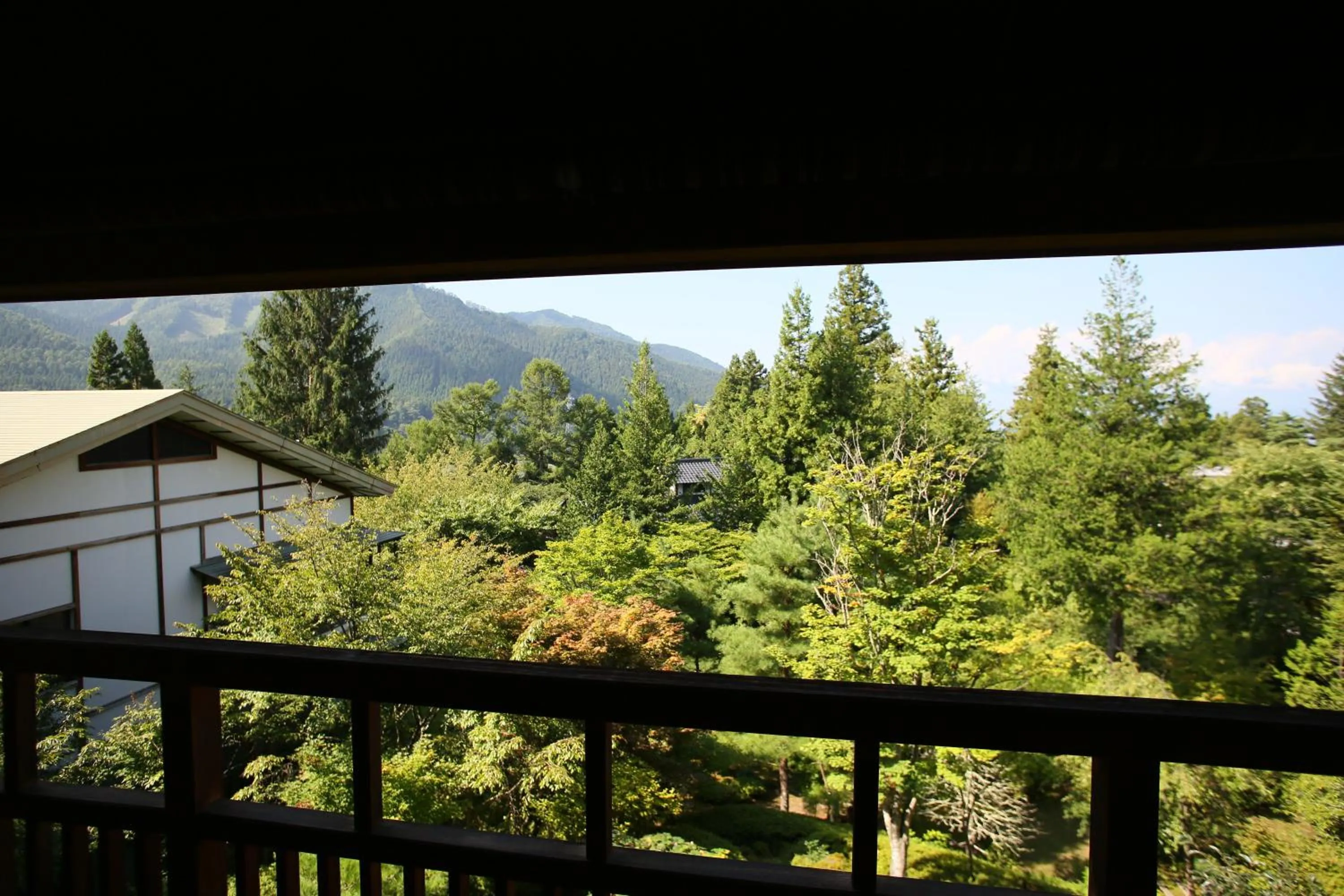 View (from property/room) in Senjukaku