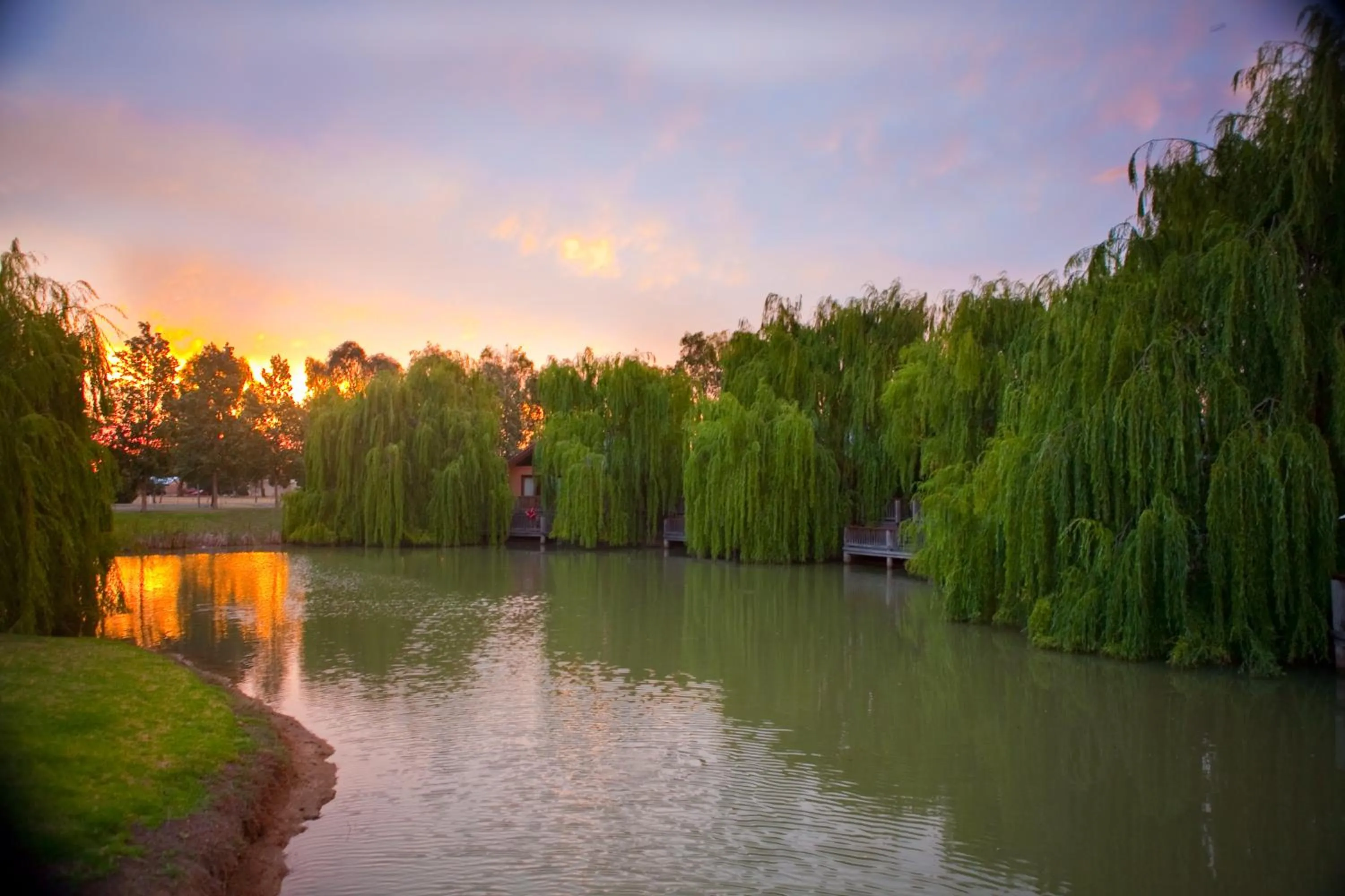 Garden in Perricoota Vines Retreat