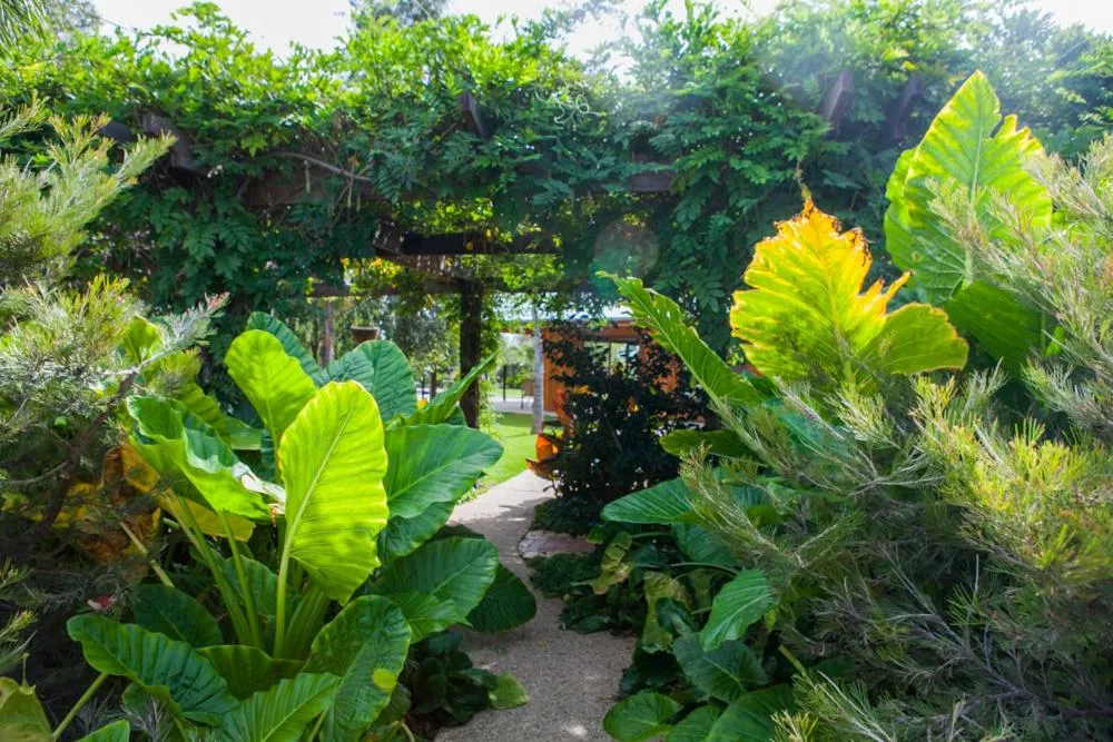 Garden in Perricoota Vines Retreat