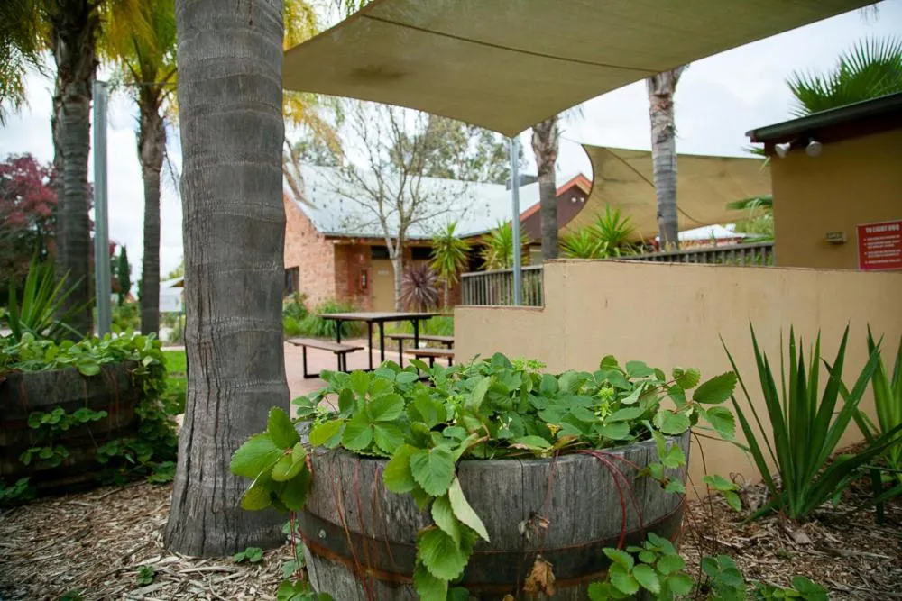 Other in Perricoota Vines Retreat