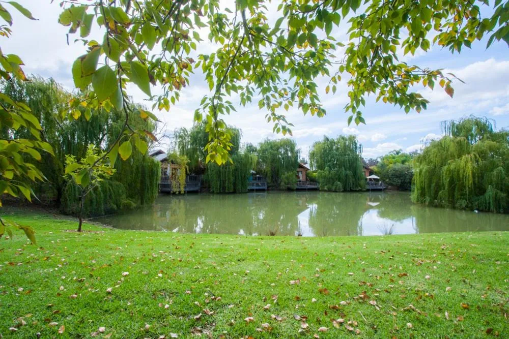 Garden in Perricoota Vines Retreat