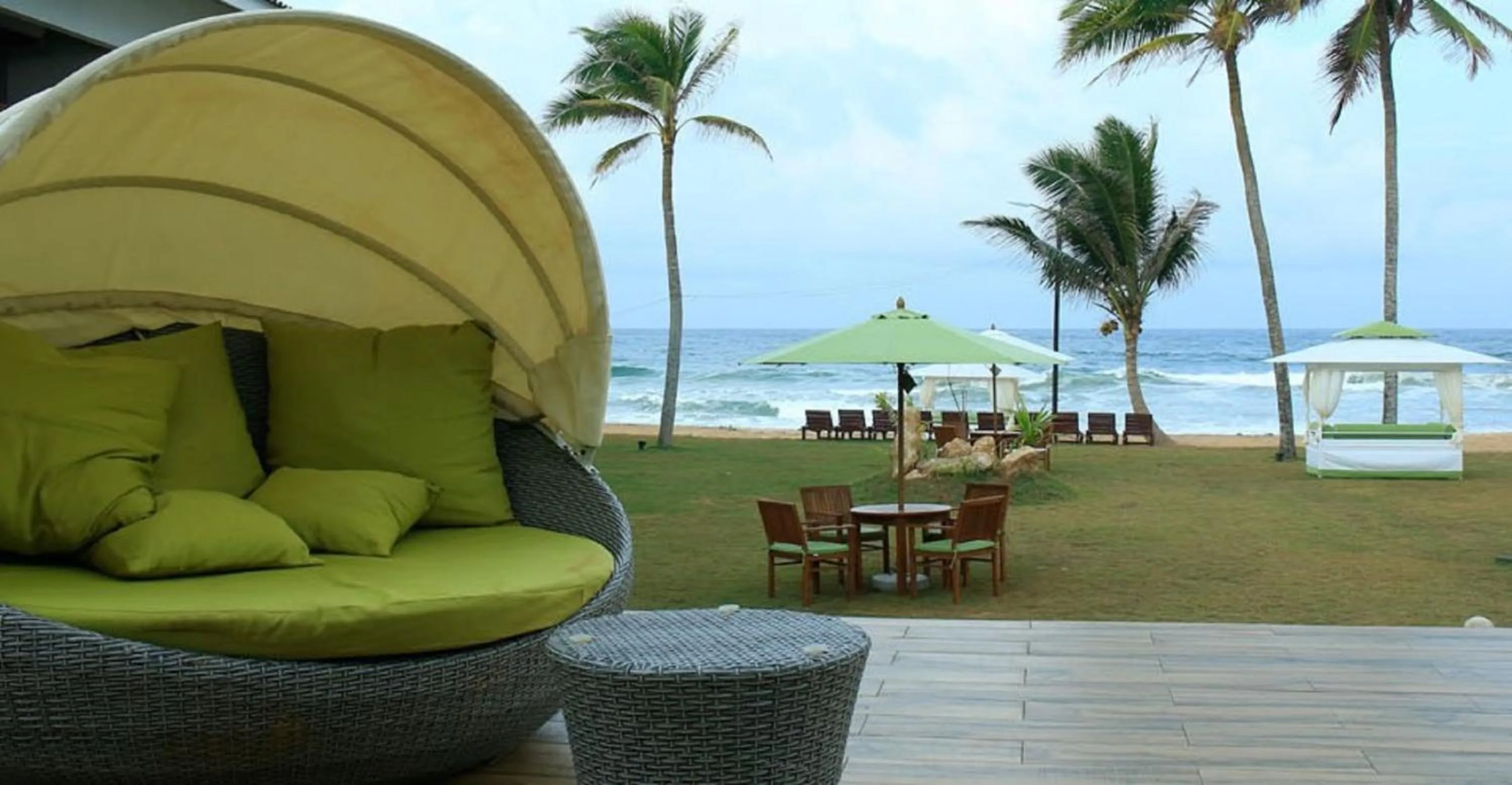 Garden in Avenra Beach Hikkaduwa