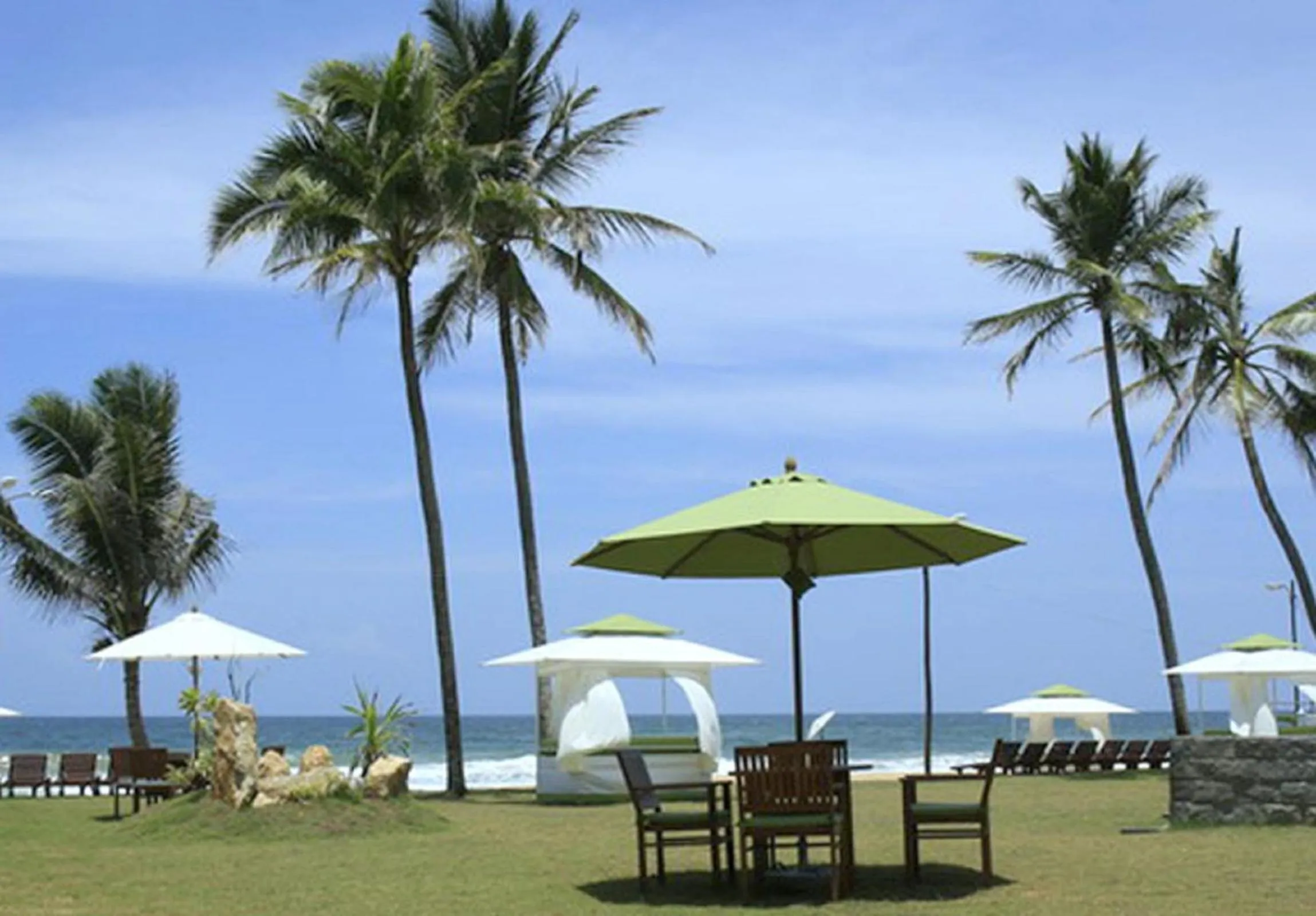 Garden in Avenra Beach Hikkaduwa