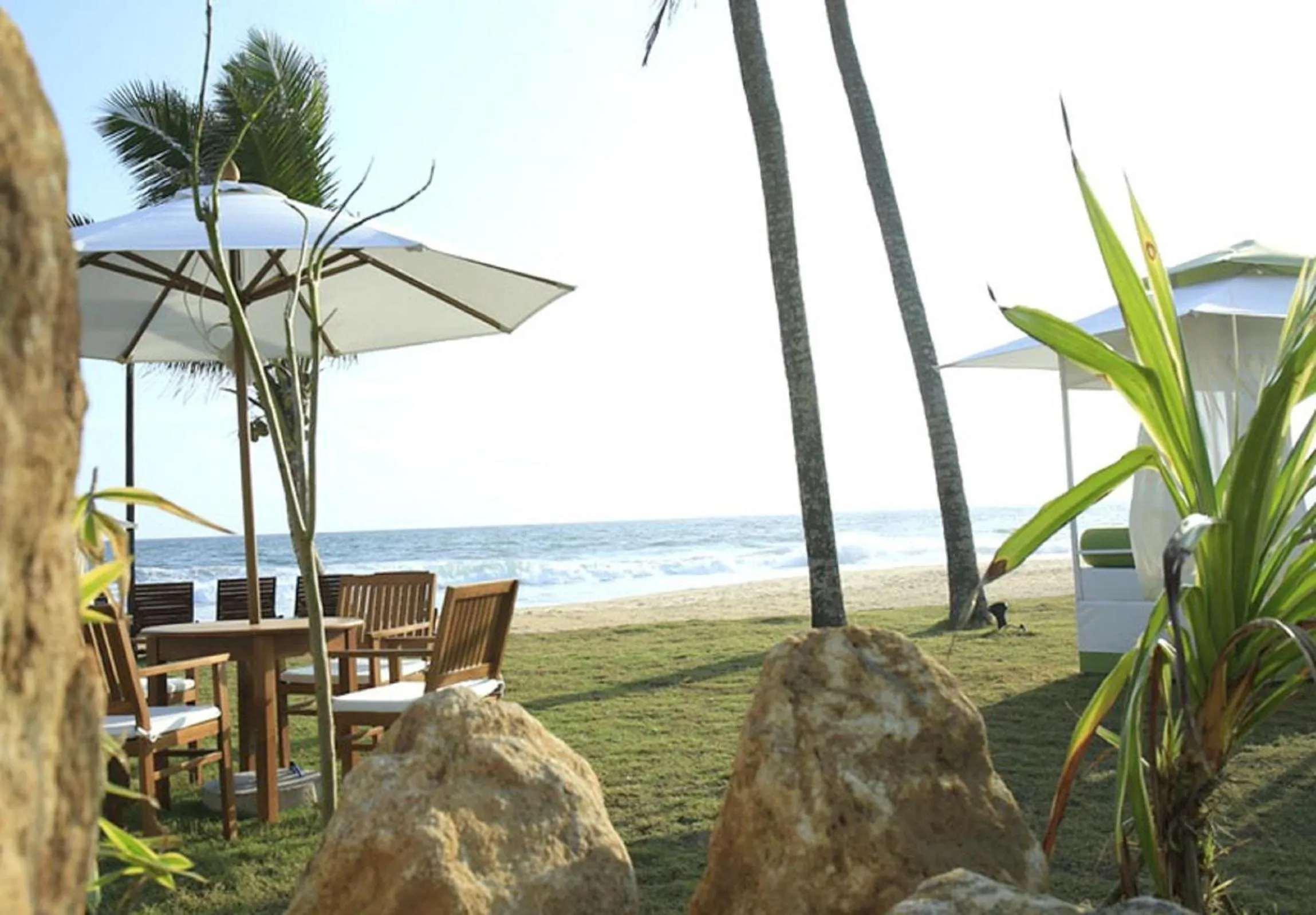 Garden in Avenra Beach Hikkaduwa