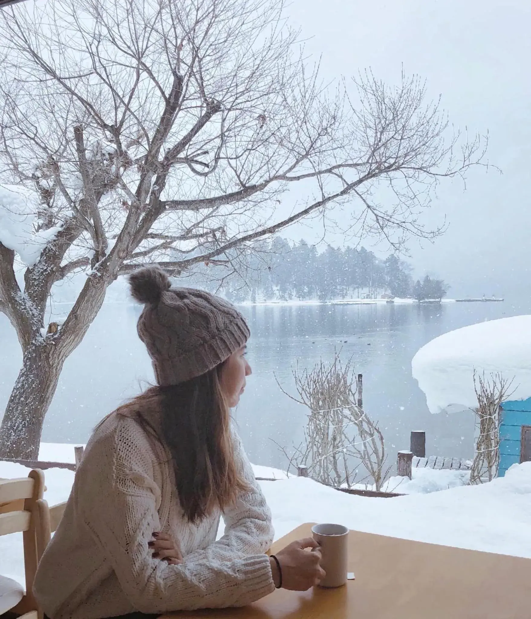 Winter in Nojiri Lake Resort