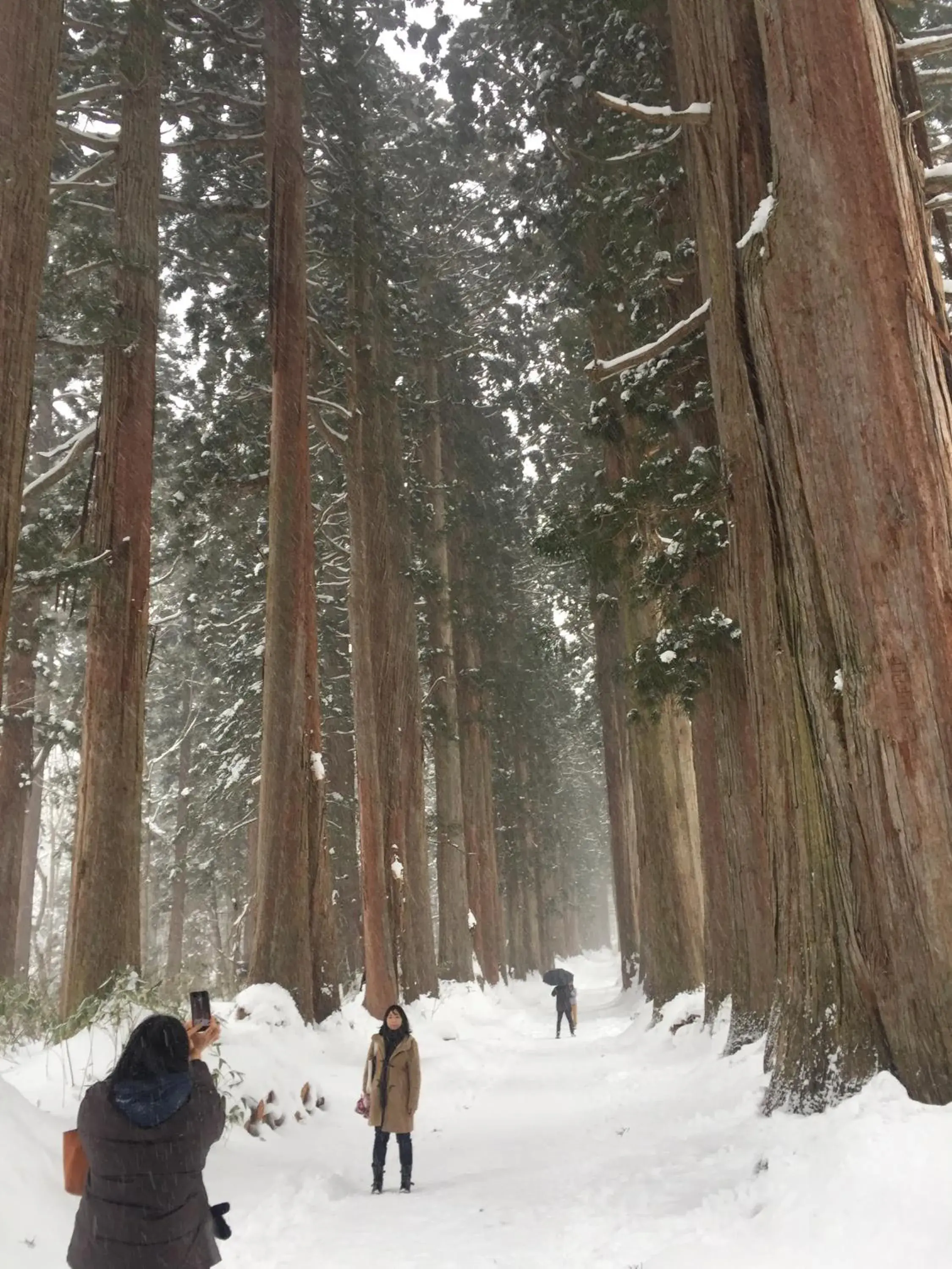 Nearby landmark, Winter in Nojiri Lake Resort