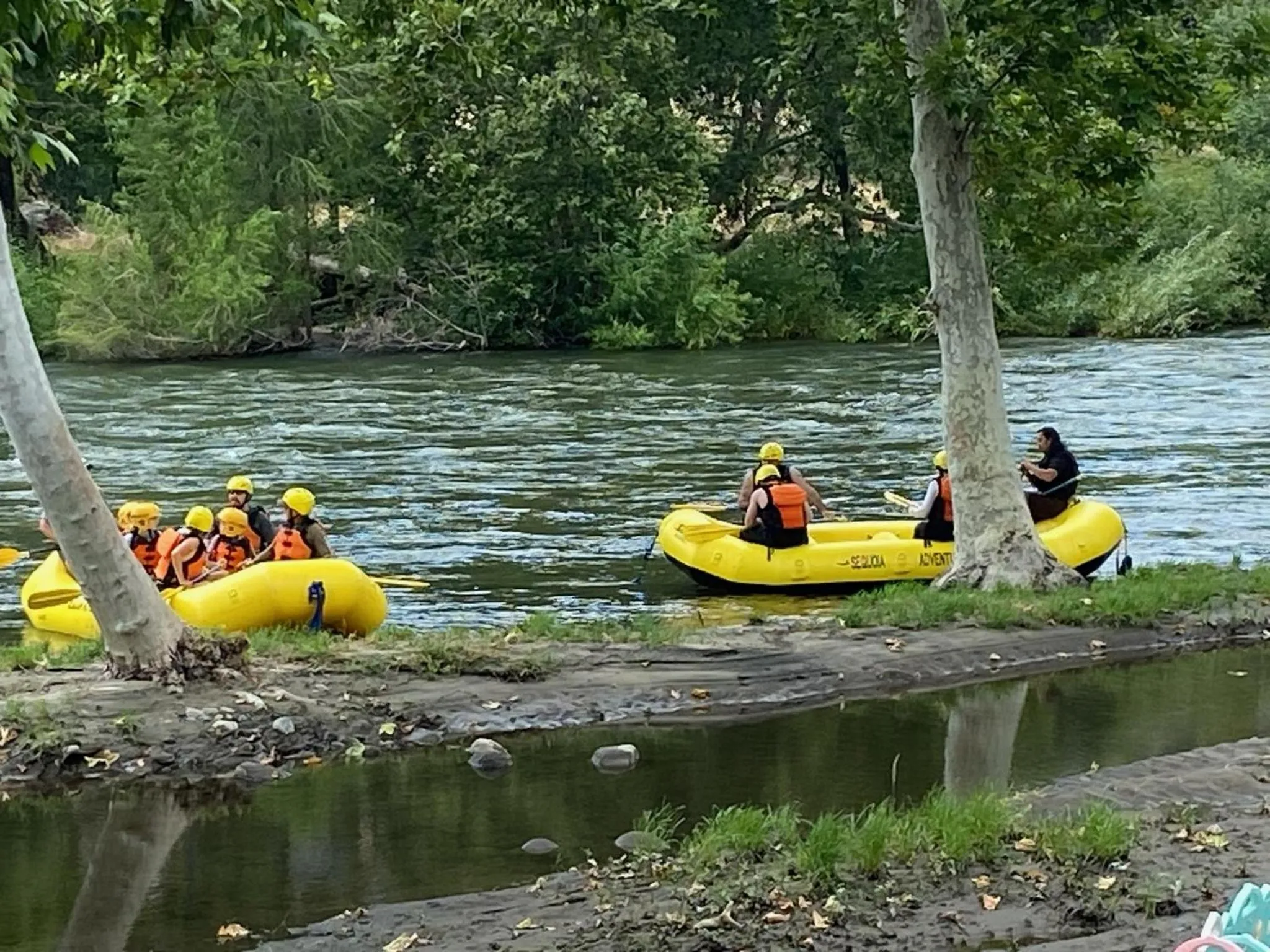 Activities in Sequoia River Front Cabins