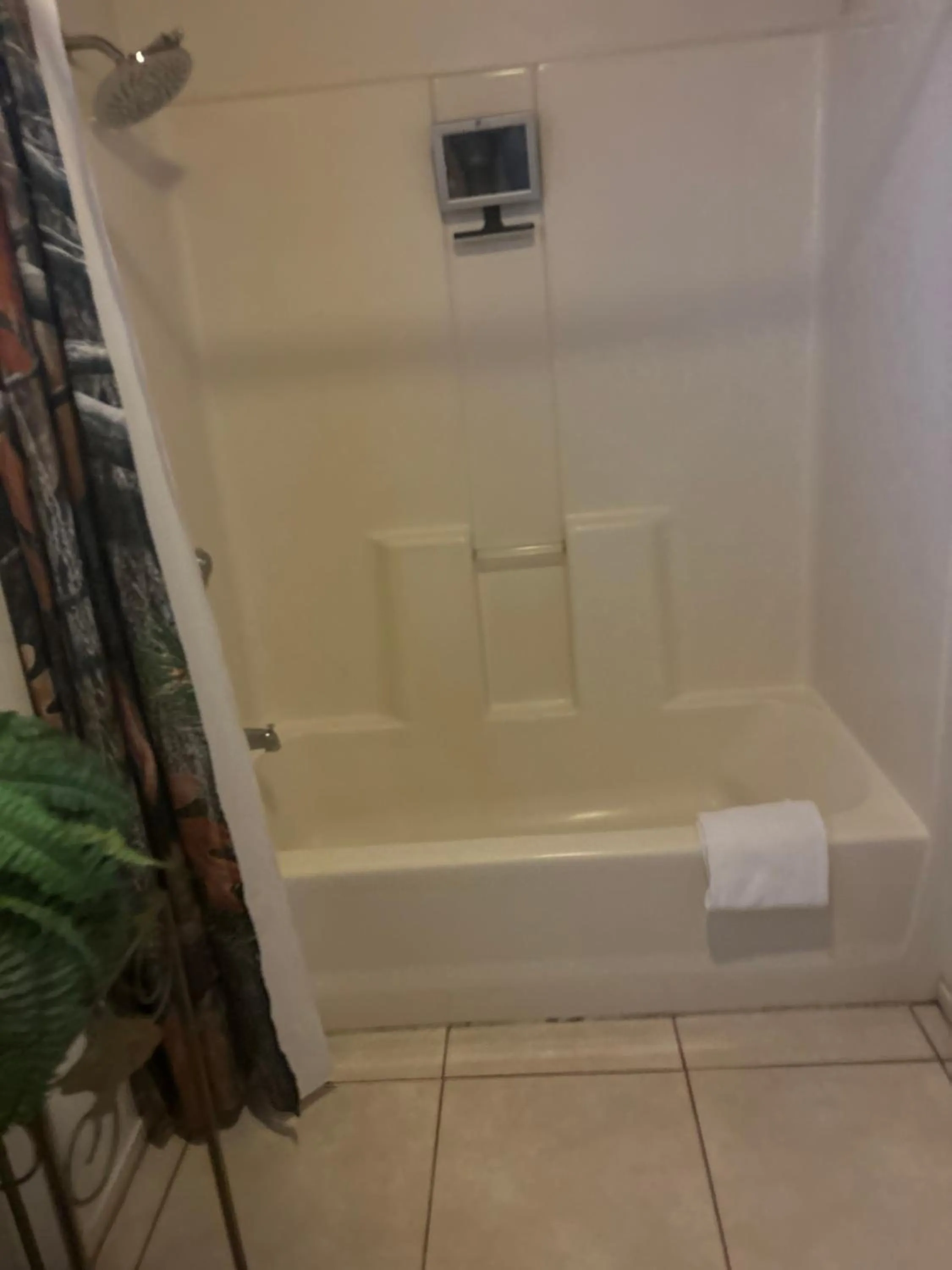 Sequoia River Front Cabins