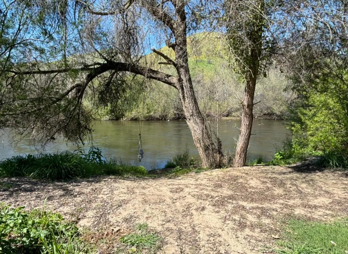 Fishing in Sequoia River Front Cabins