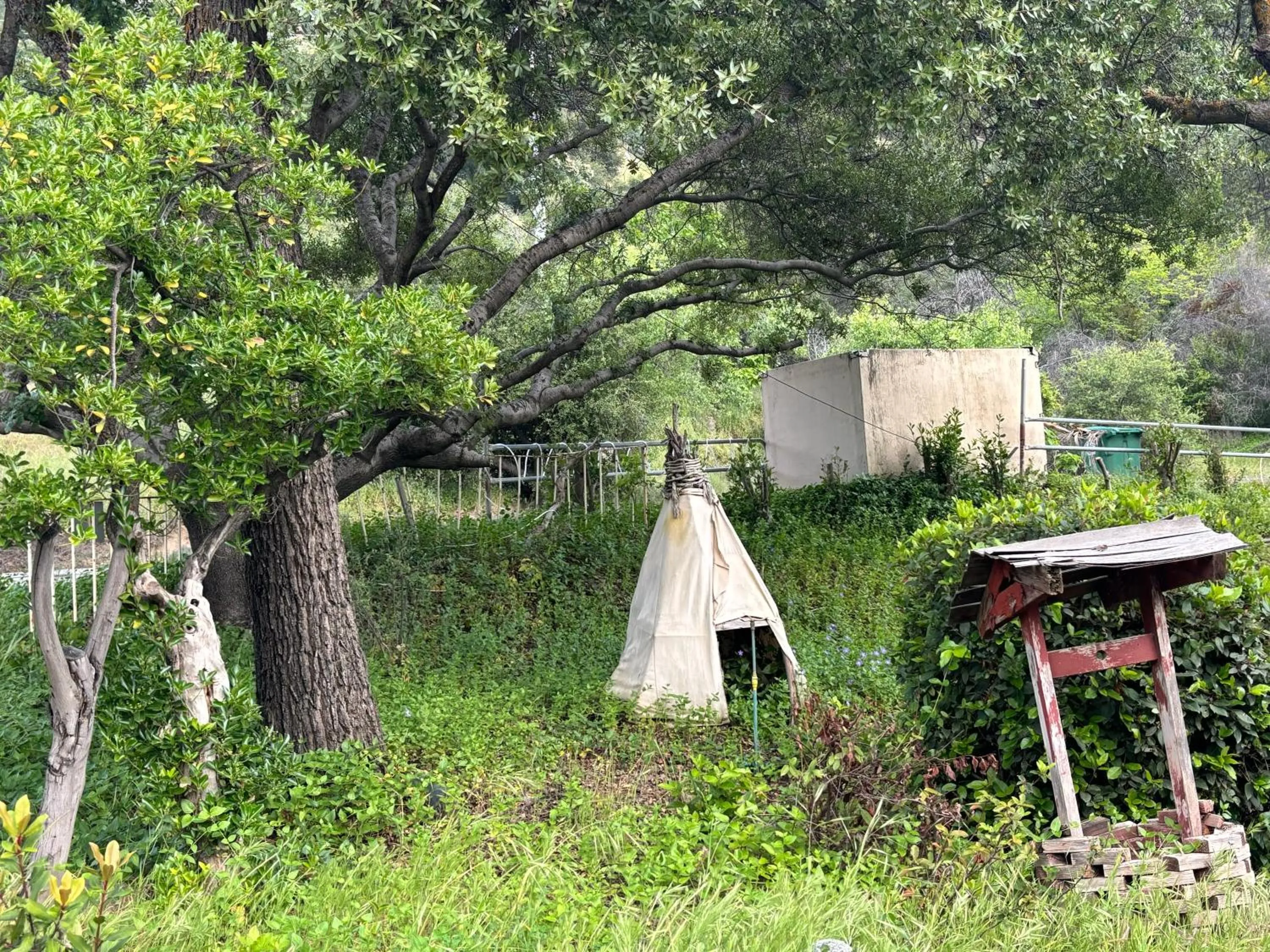 Garden in Sequoia River Front Cabins