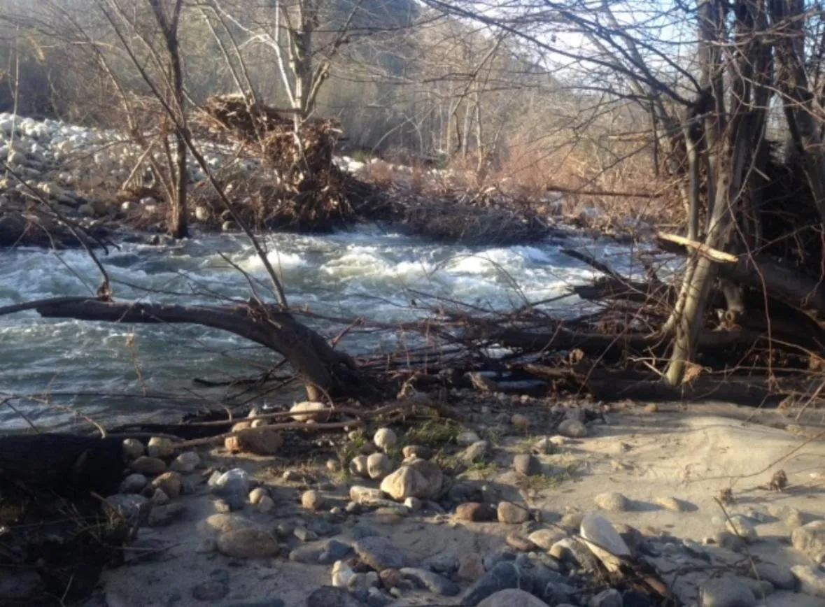 Natural landscape in Sequoia River Front Cabins