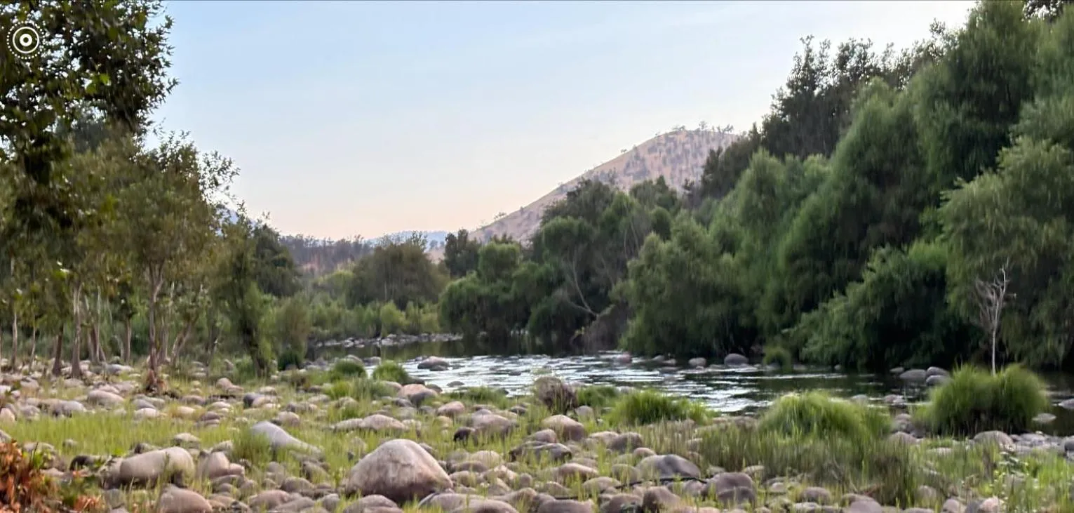 Sequoia River Front Cabins