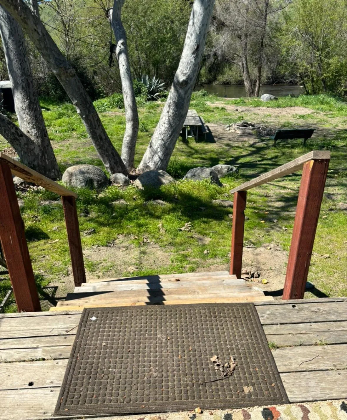 Natural landscape in Sequoia River Front Cabins