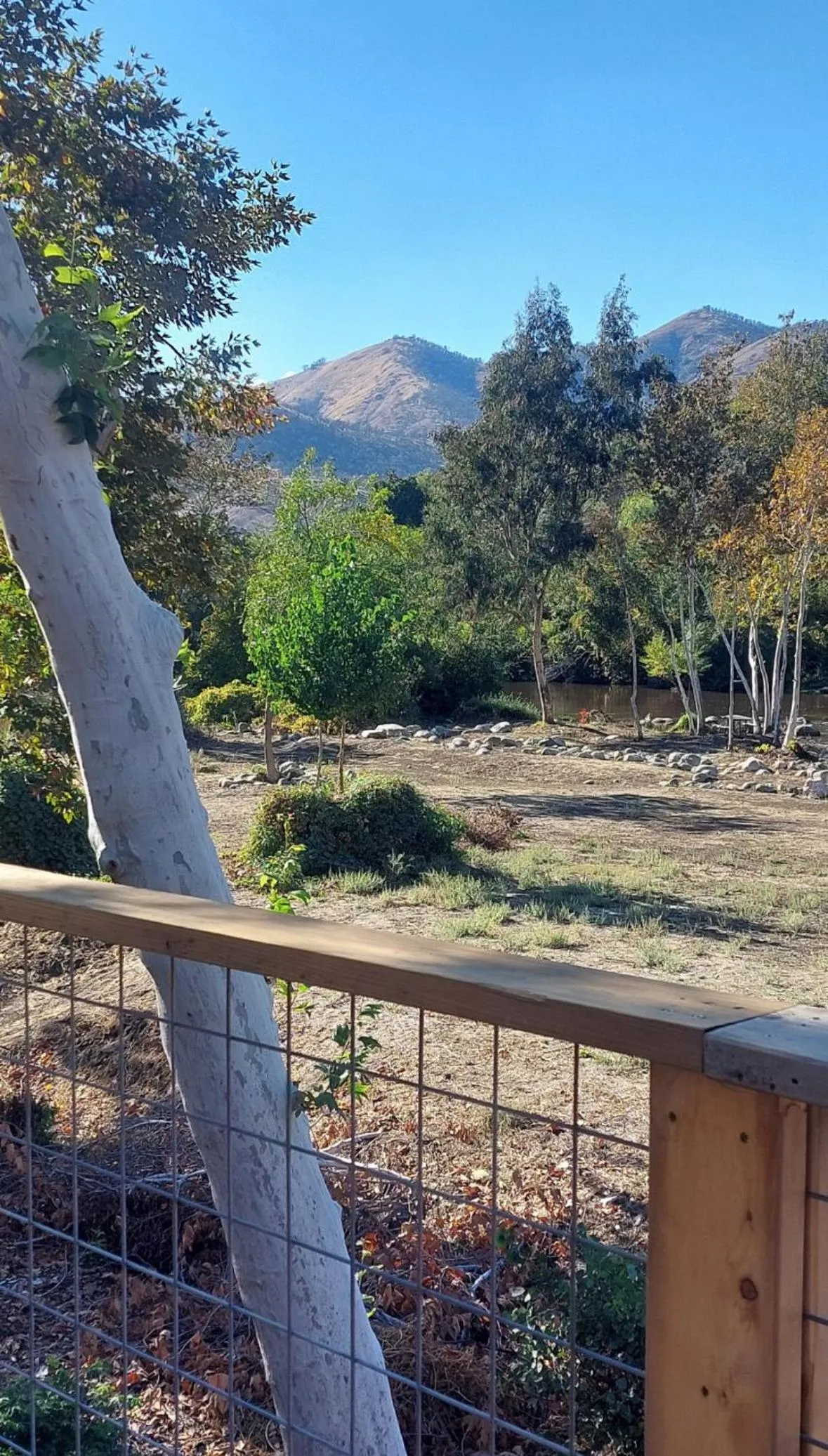 Natural landscape in Sequoia River Front Cabins