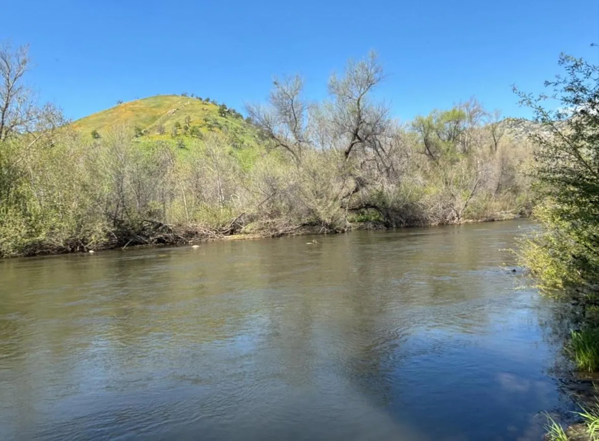 Fishing in Sequoia River Front Cabins