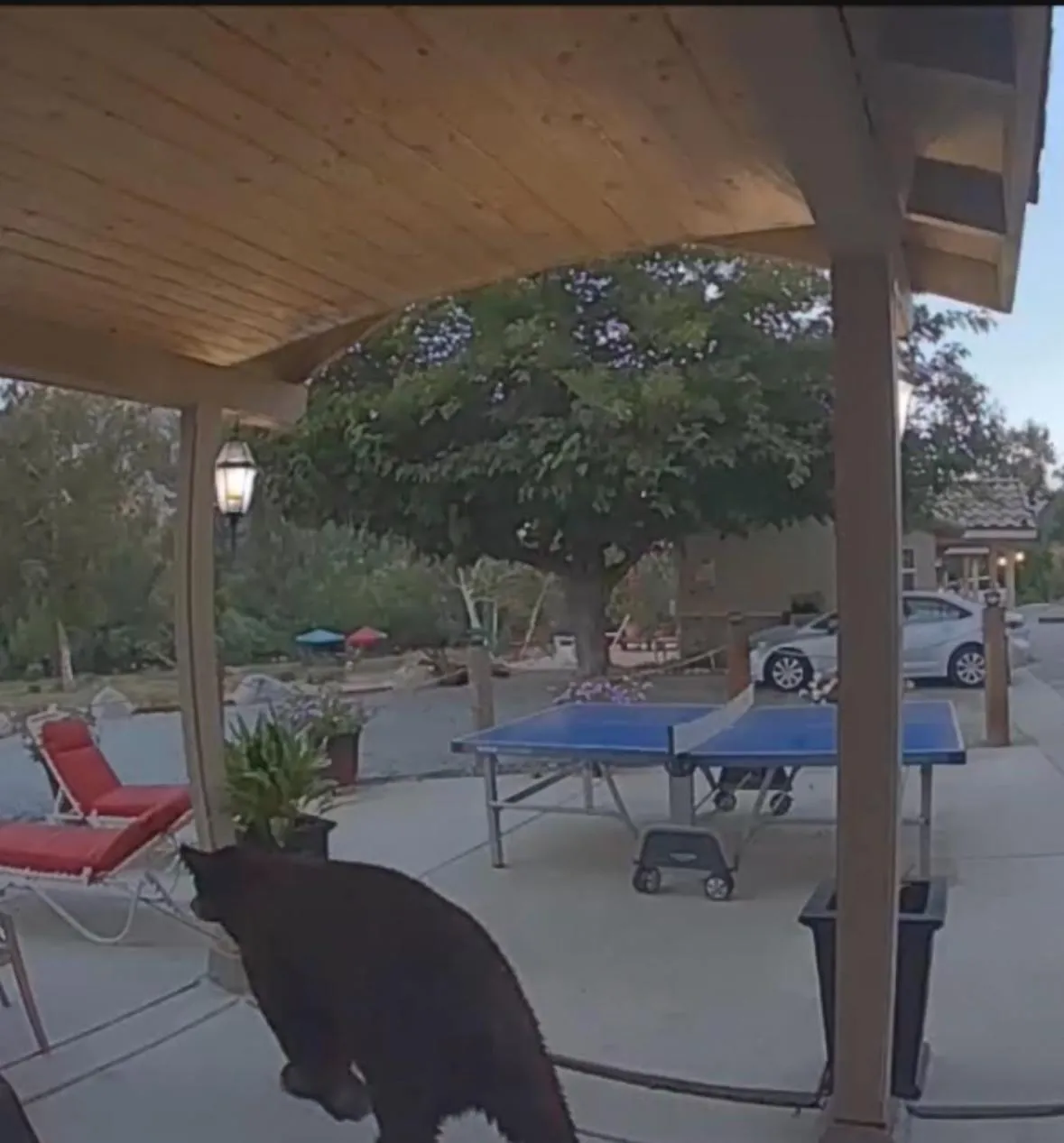 View (from property/room) in Sequoia River Front Cabins