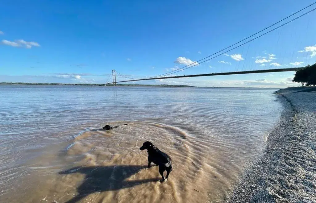 Neighbourhood in Robeanne House Holiday Accommodation Neighbourhood in Robeanne House Holiday Accommodation