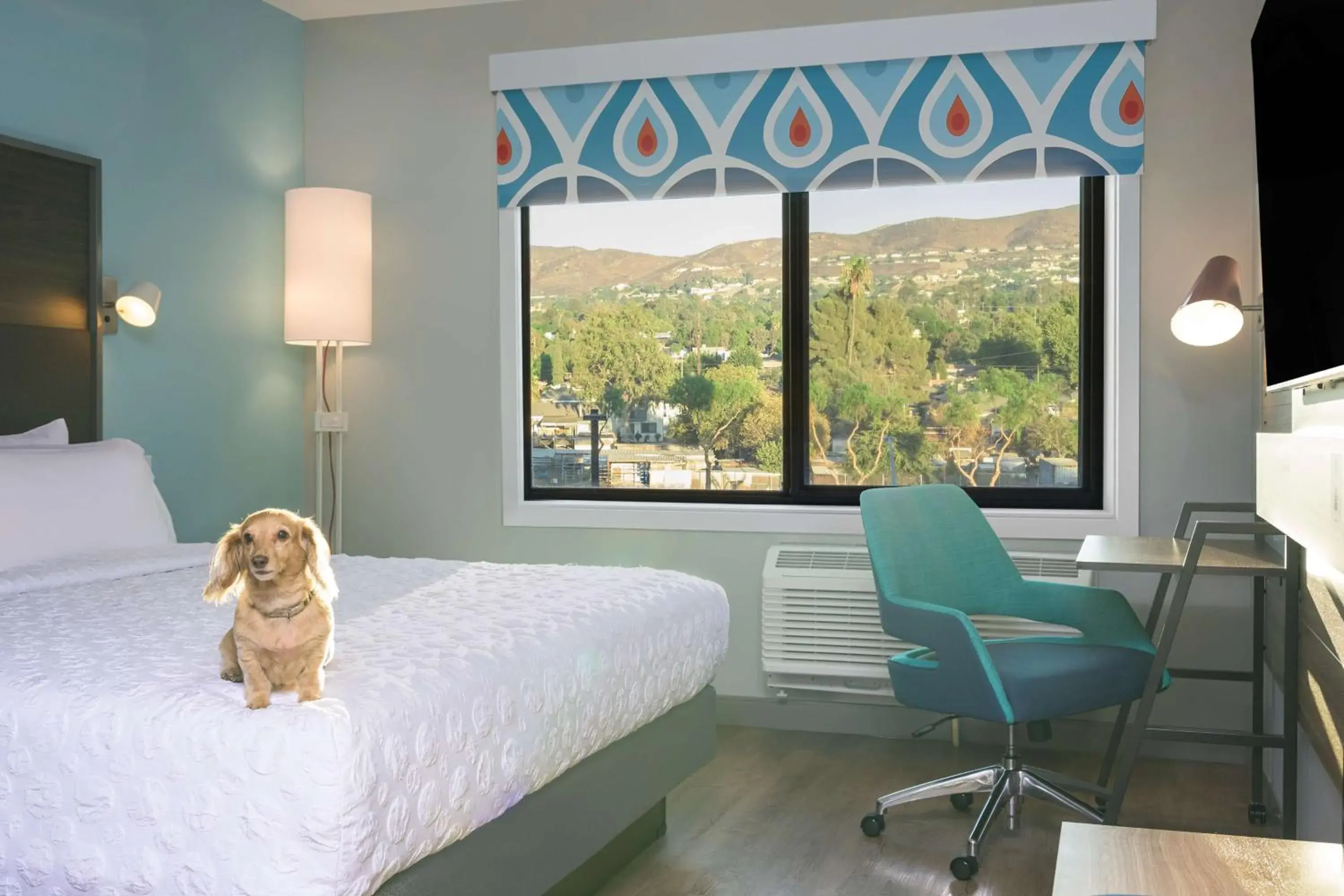 Photo of the whole room, Bed in Tru by Hilton Norco Eastvale Photo of the whole room, Bed in Tru by Hilton Norco Eastvale