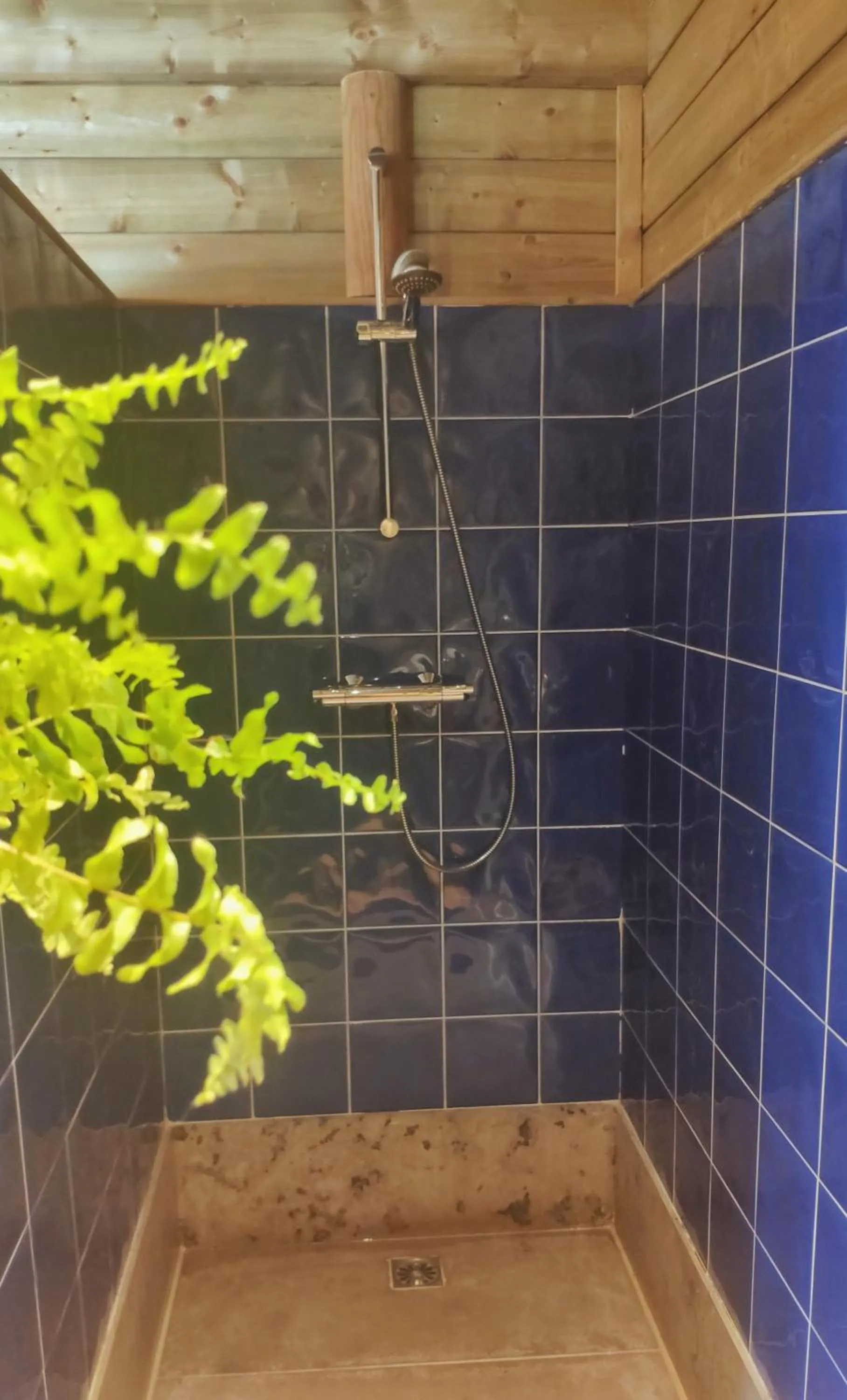 Shower in B&B Aquavert