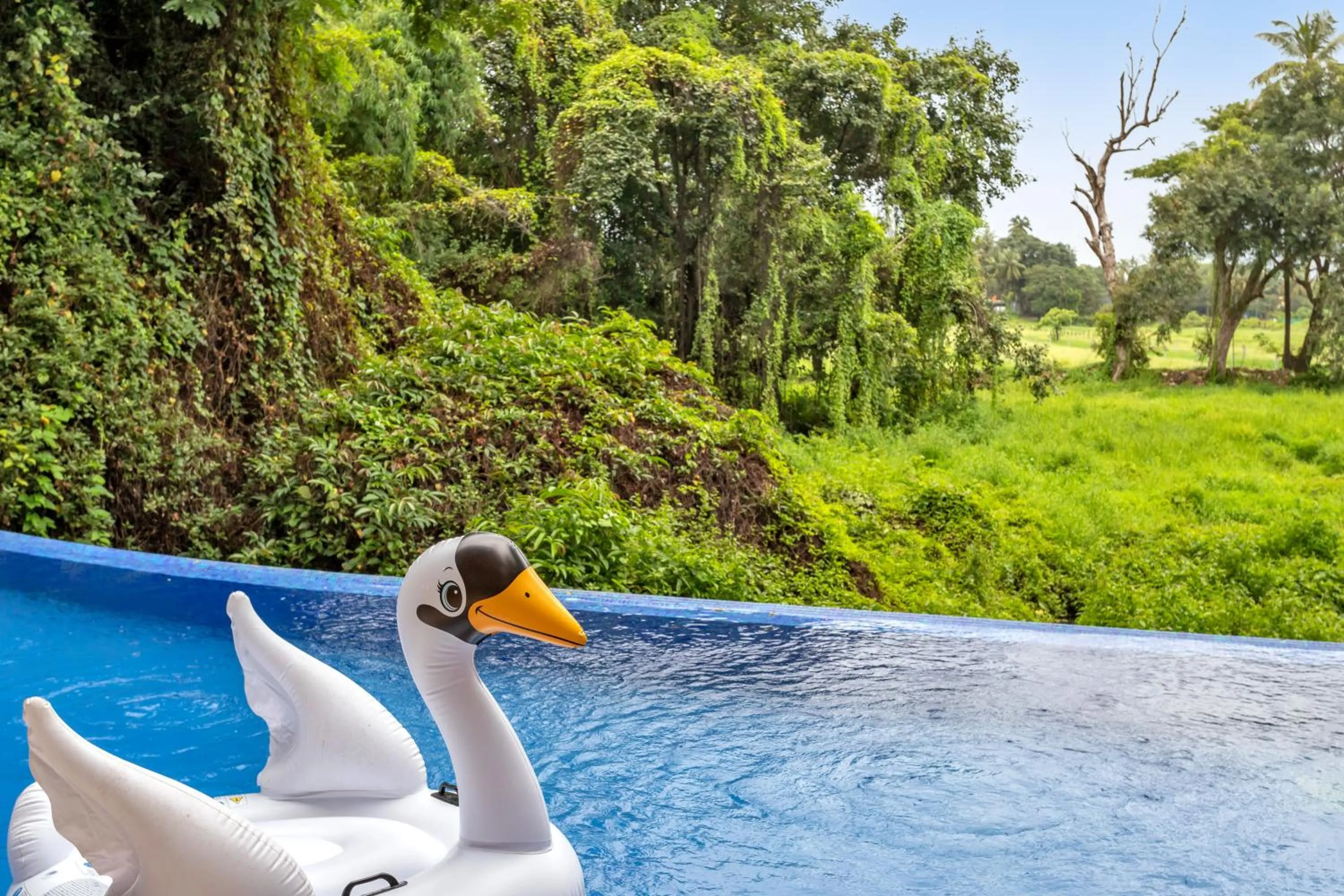 Swimming pool in D'Retreat 1BHK Apartment by tisyastays