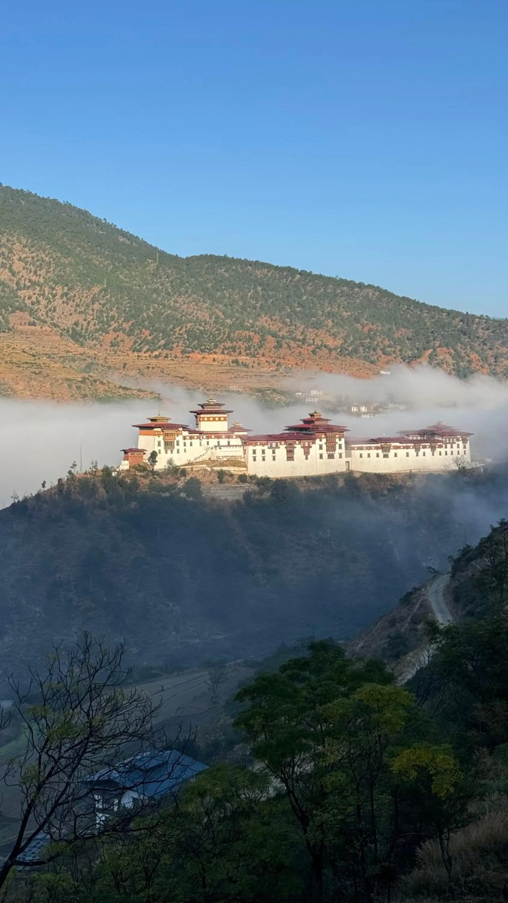 View (from property/room) in Wangdue Ecolodge