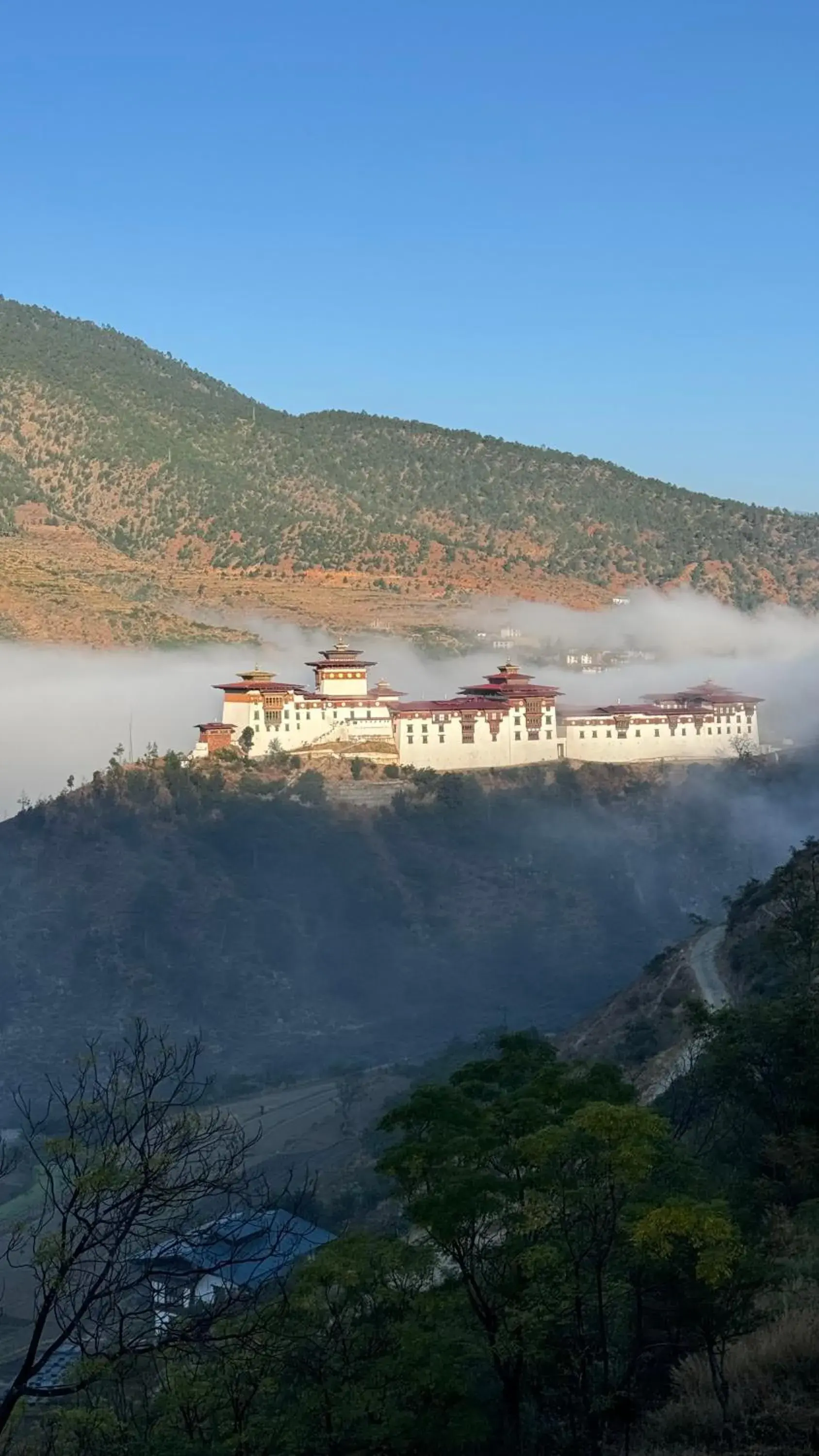View (from property/room) in Wangdue Ecolodge View (from property/room) in Wangdue Ecolodge