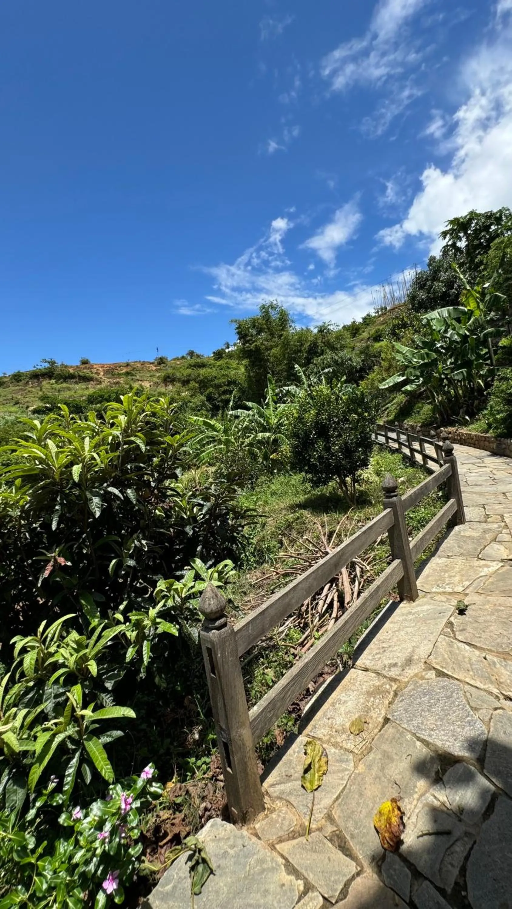 Facade/entrance in Wangdue Ecolodge