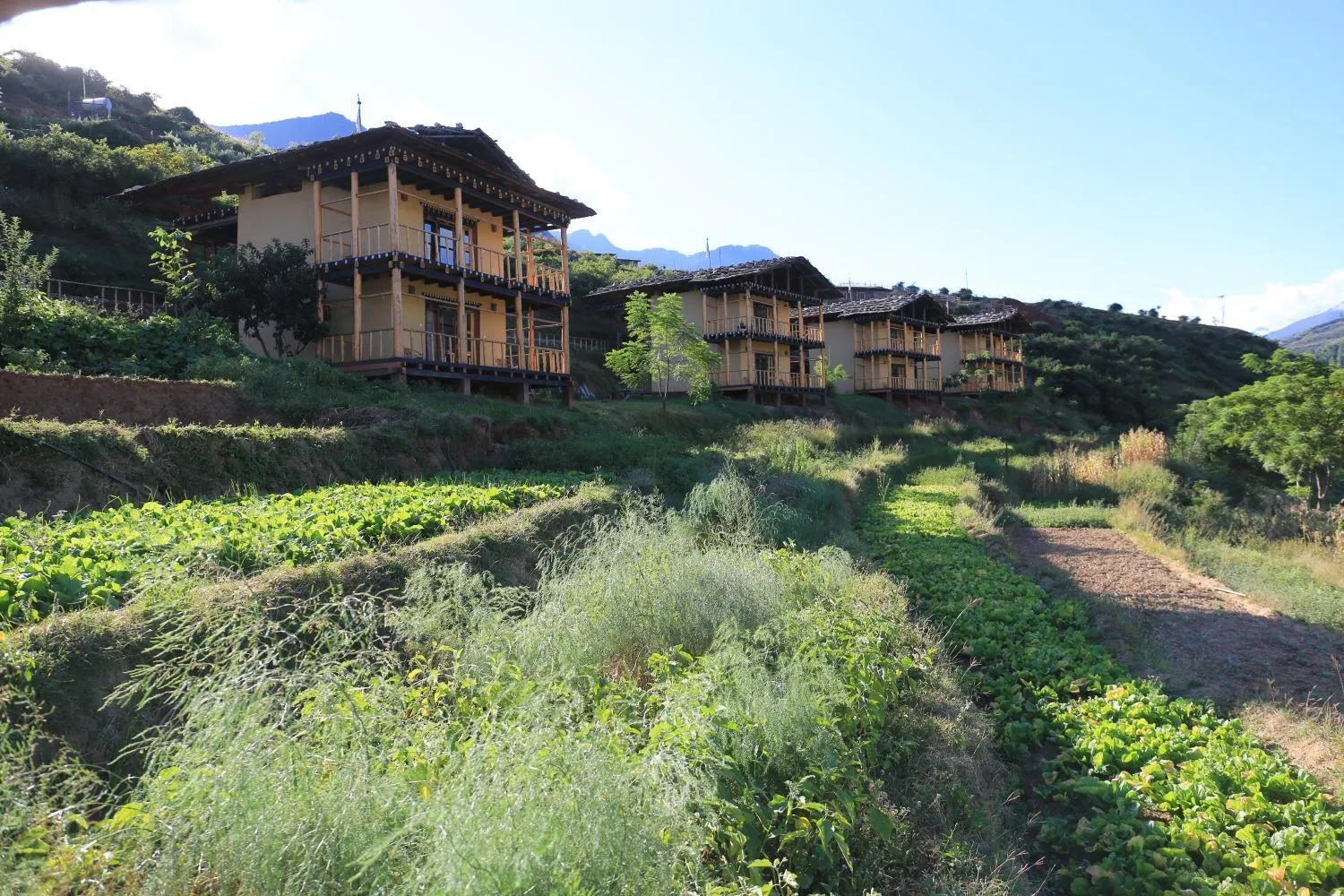 Property building in Wangdue Ecolodge