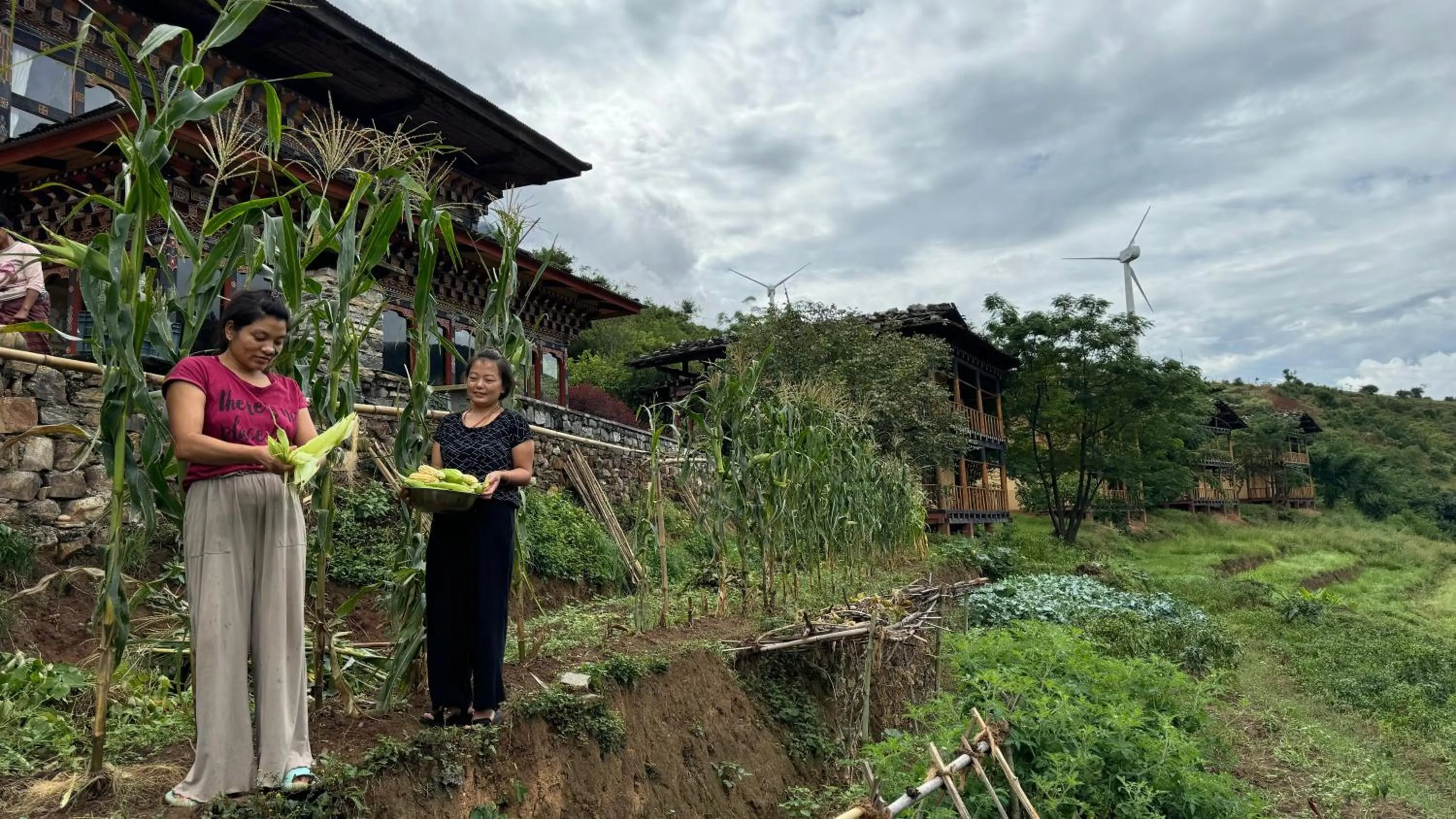 Garden in Wangdue Ecolodge