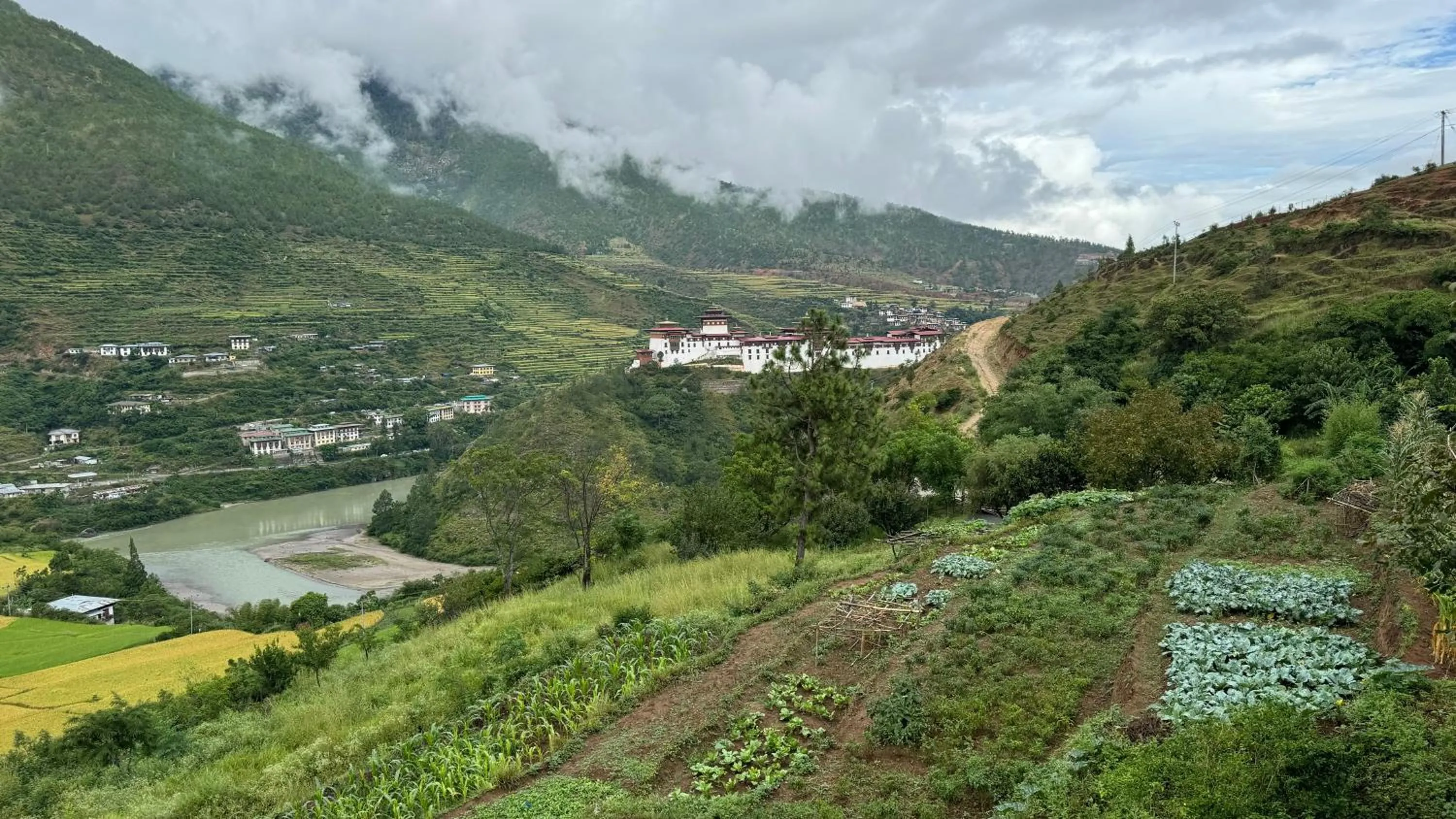 View (from property/room) in Wangdue Ecolodge