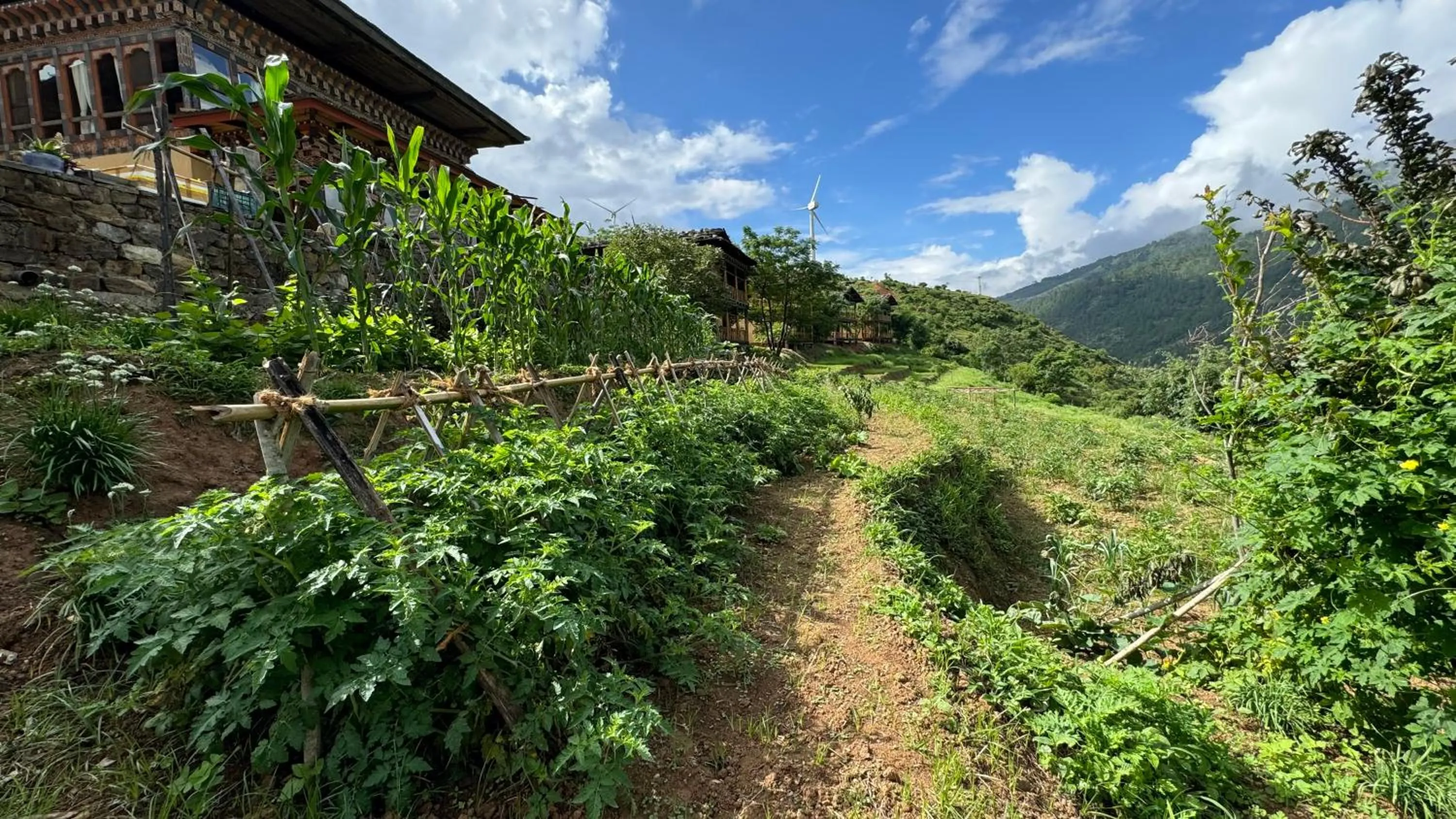 Garden in Wangdue Ecolodge
