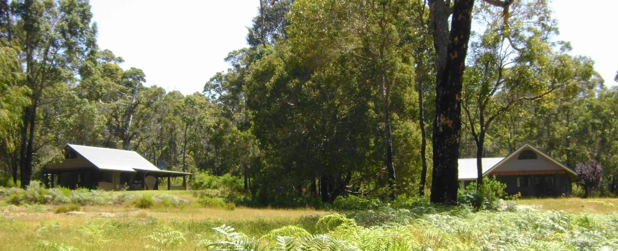 Area and facilities in Scotsdale Valley Studios