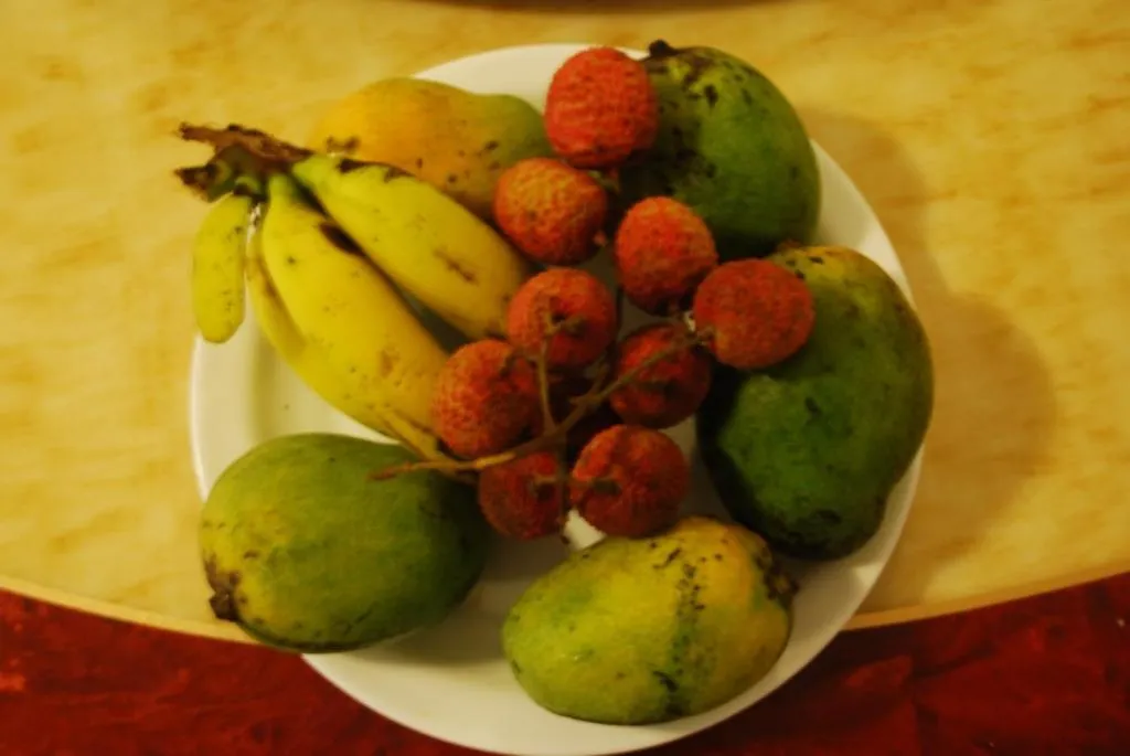 Food and drinks in La Dorade