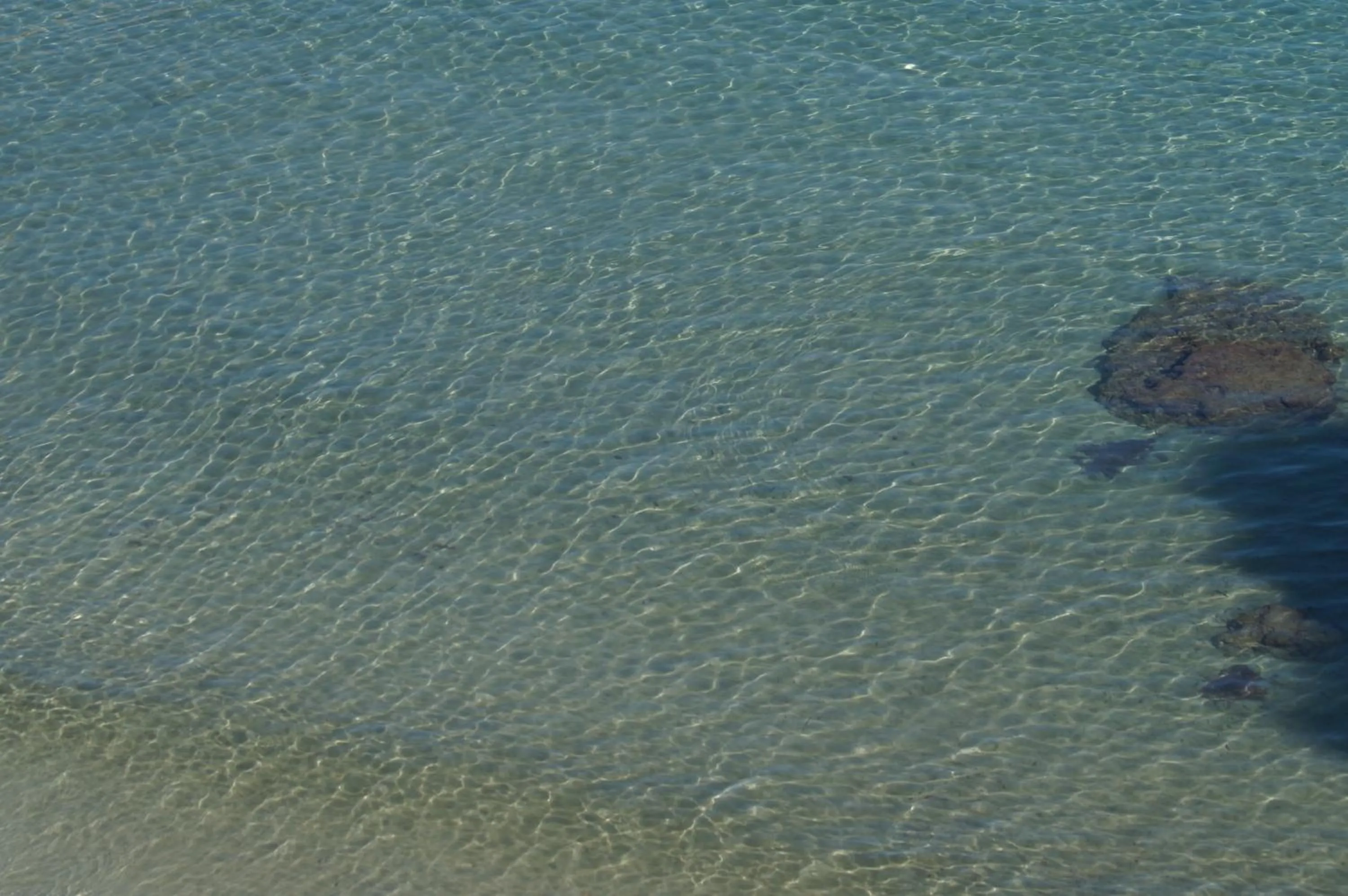 Beach in Anatoli Hotel