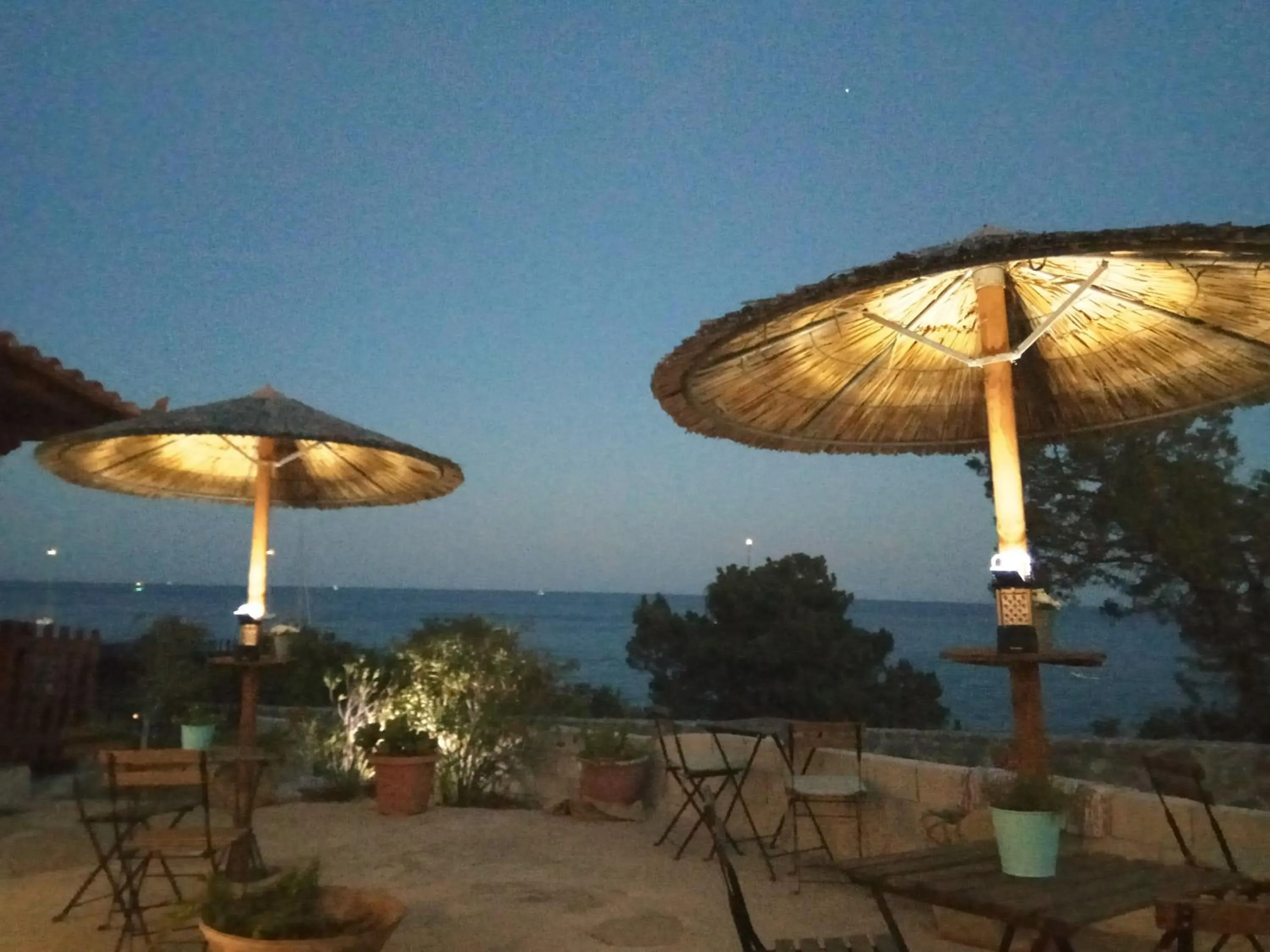 Area and facilities in Anatoli Hotel