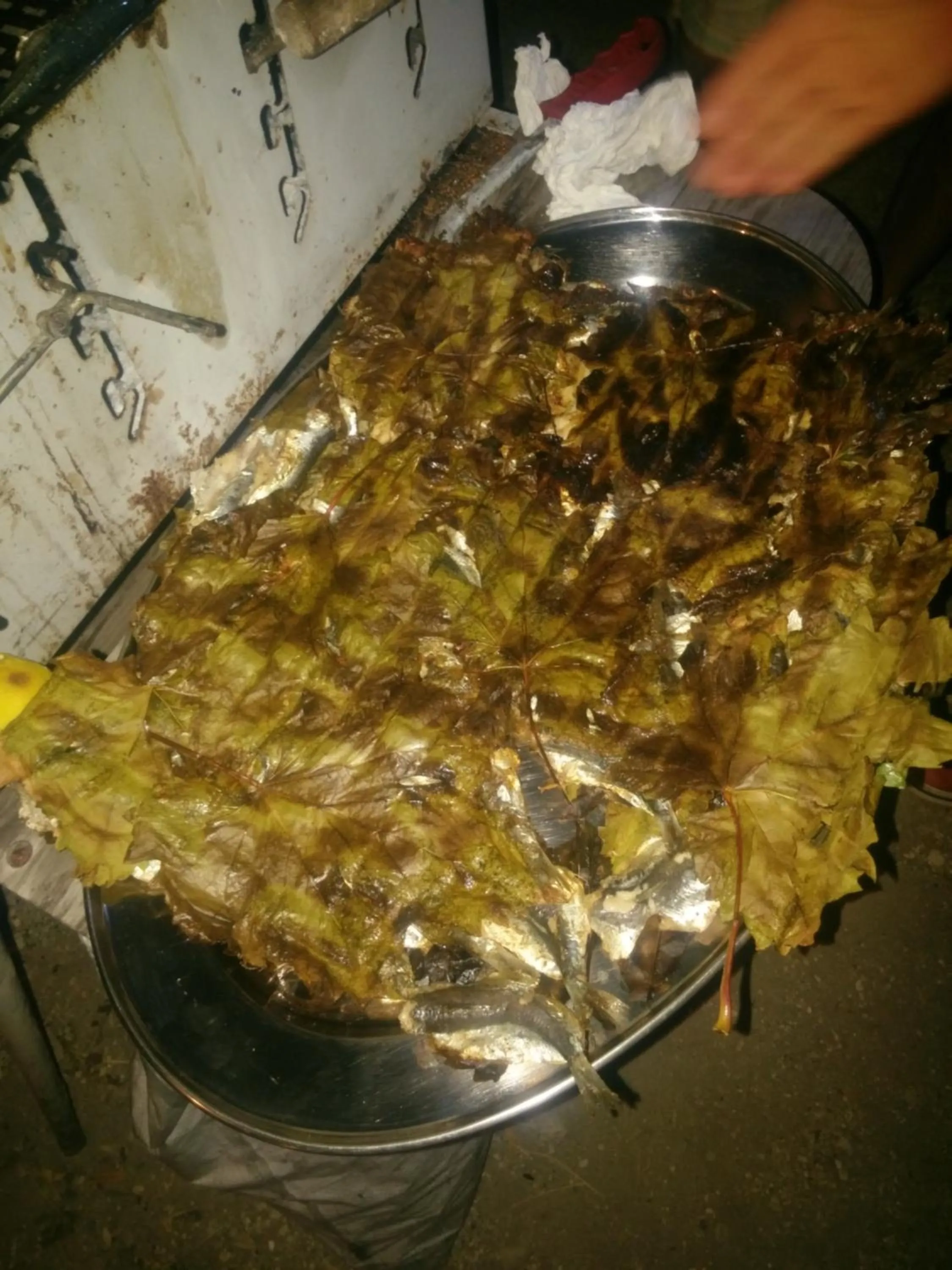 BBQ facilities in Anatoli Hotel