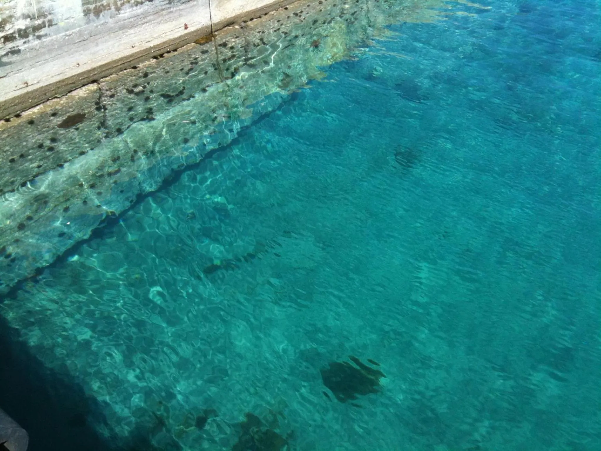 Fishing in Anatoli Hotel