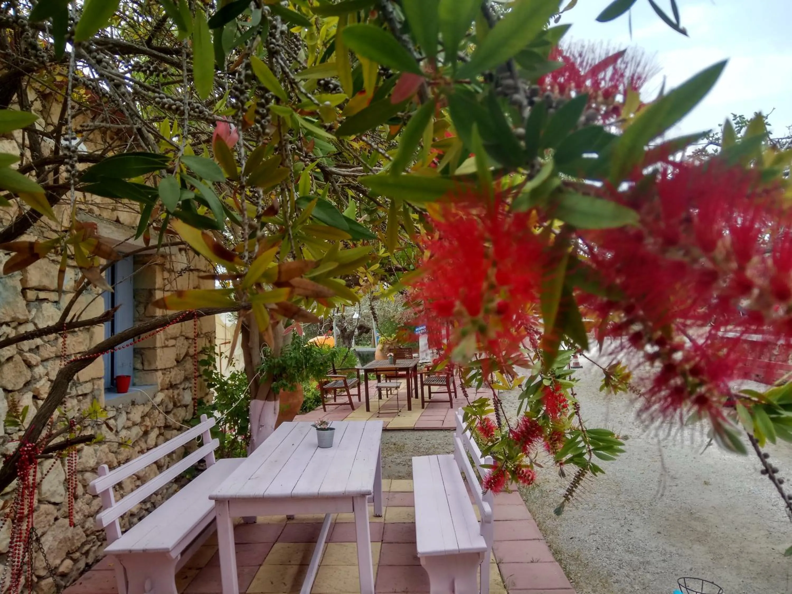 Garden in Anatoli Hotel