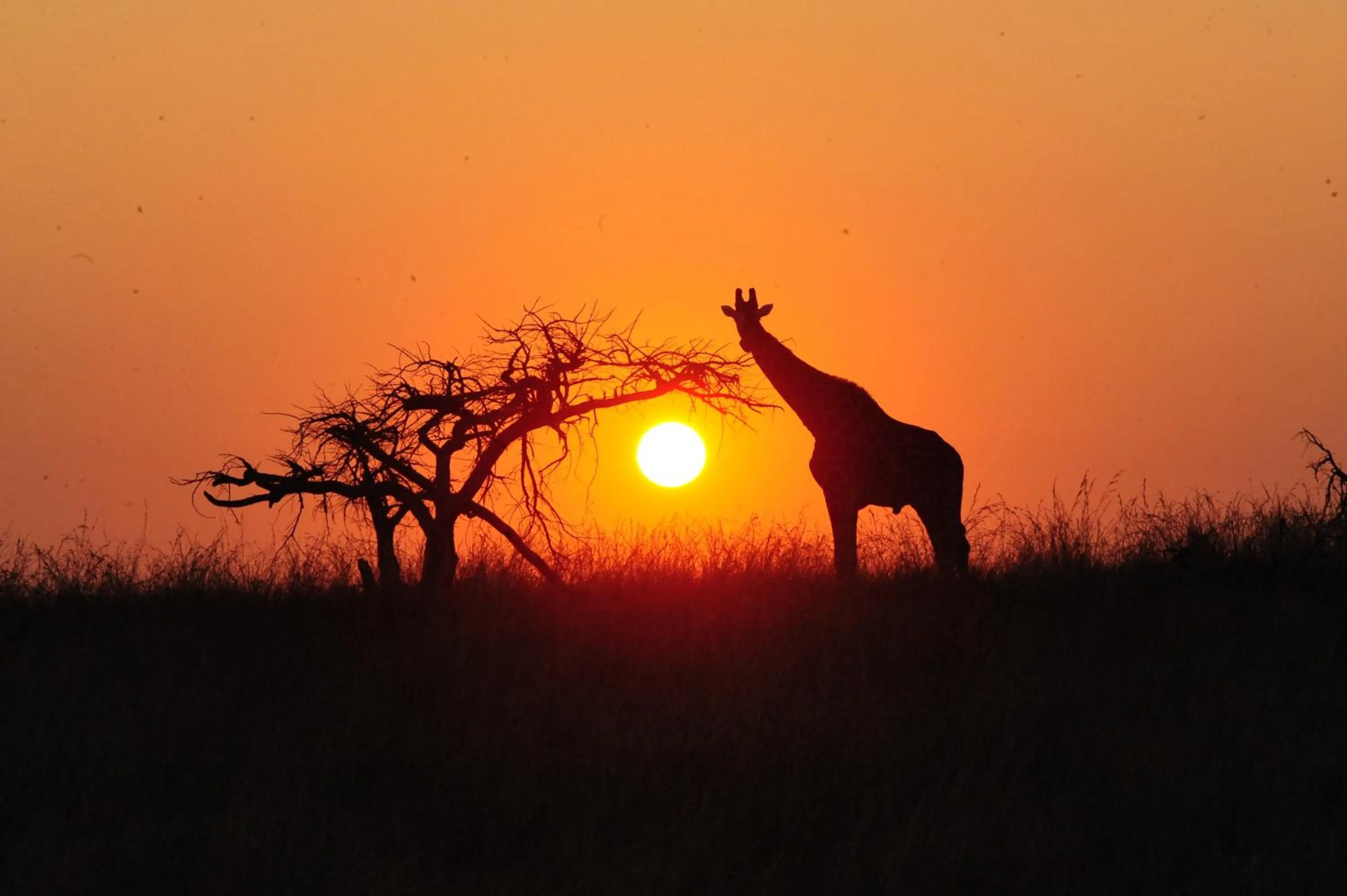 Other in Esiweni Luxury Safari Lodge