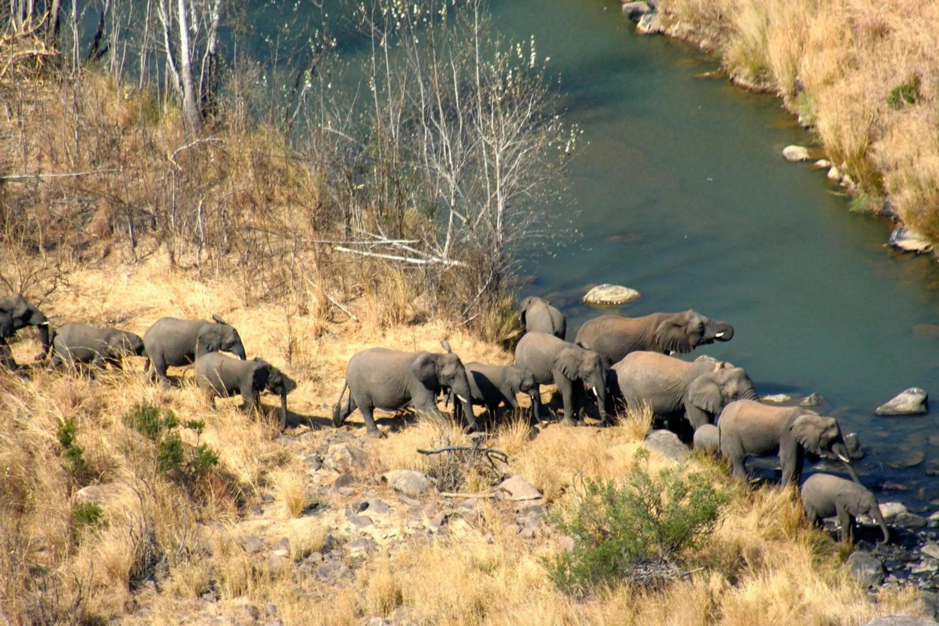 View (from property/room) in Esiweni Luxury Safari Lodge