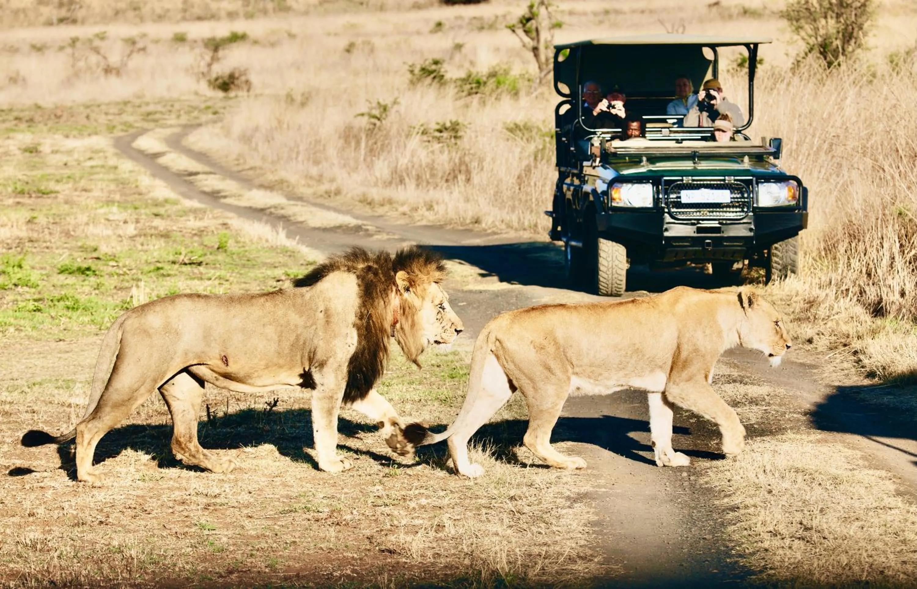 People in Esiweni Luxury Safari Lodge