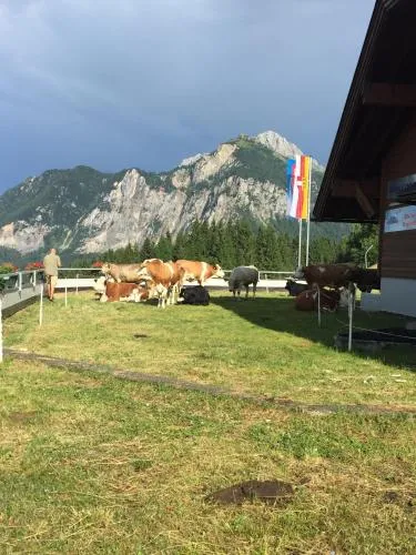 Schiappartement Nassfeld